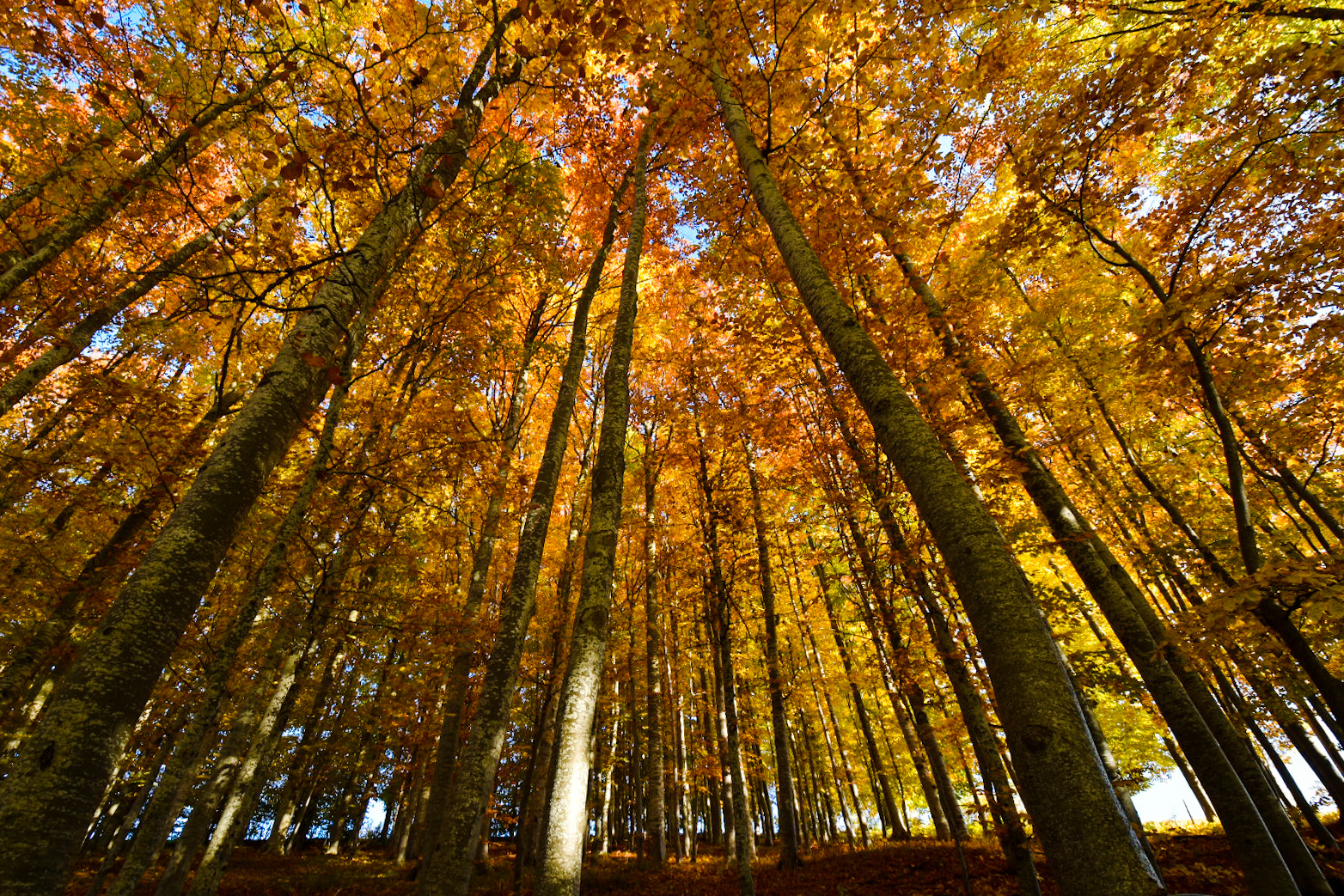 Fires... Not to be turned off