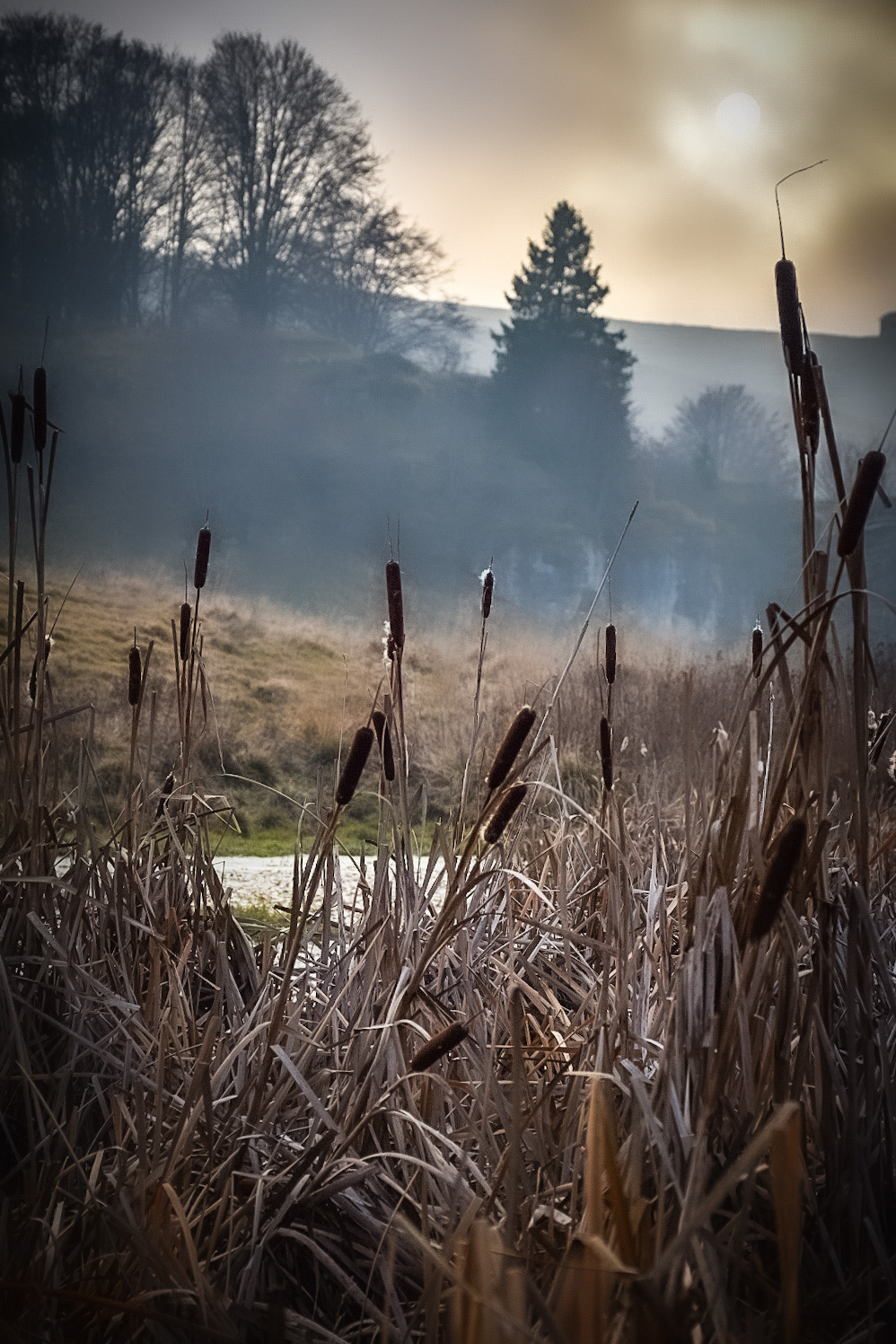 Reflections... In the fog