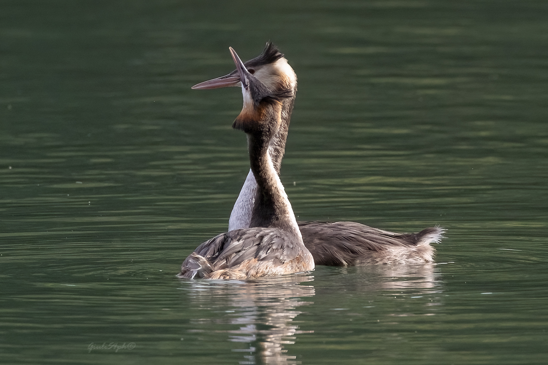 una storia d'amore 6