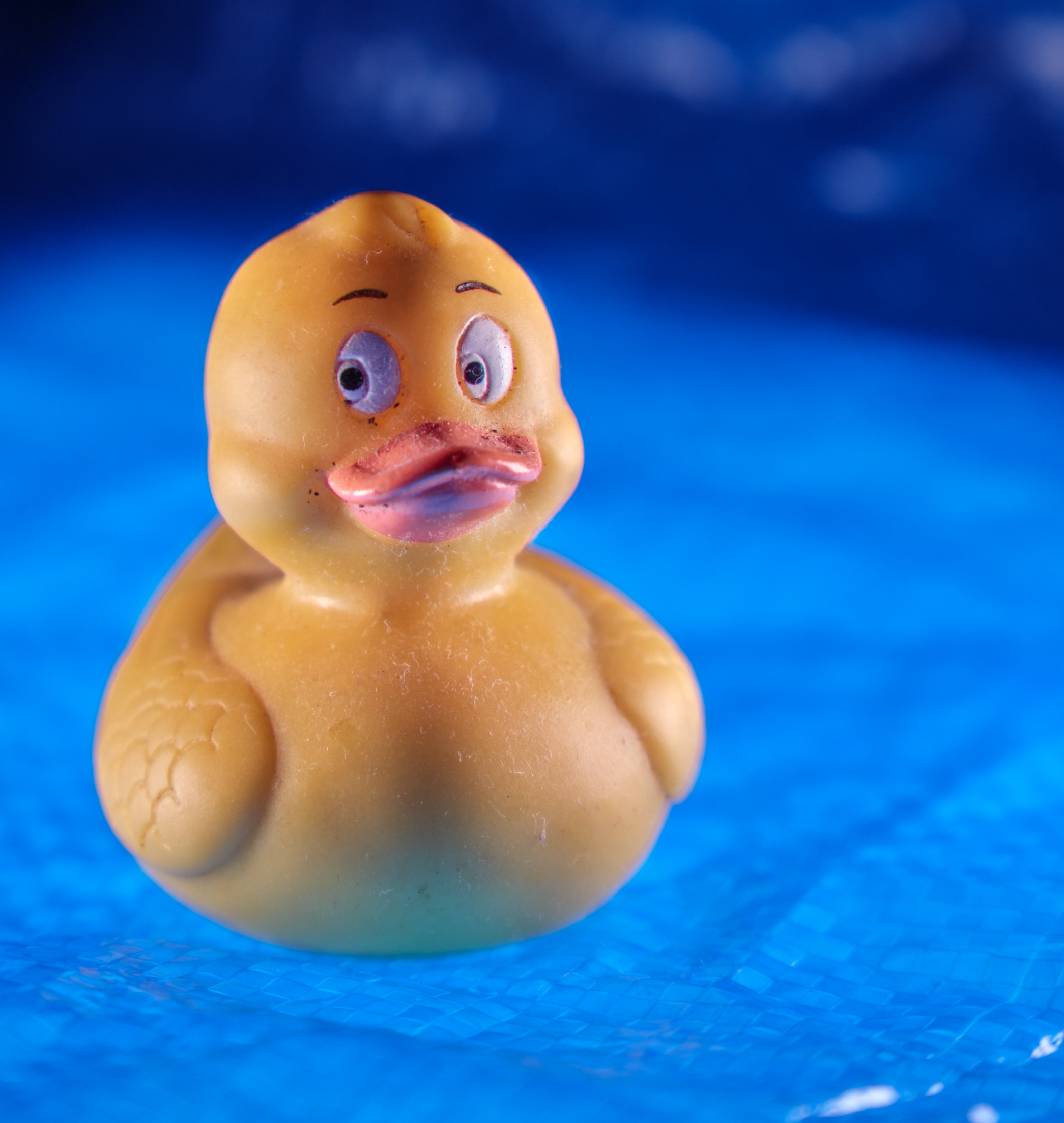 Navigatore Solitario