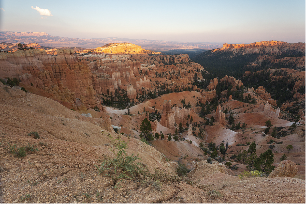 guglie rosse al Bryce Canyon