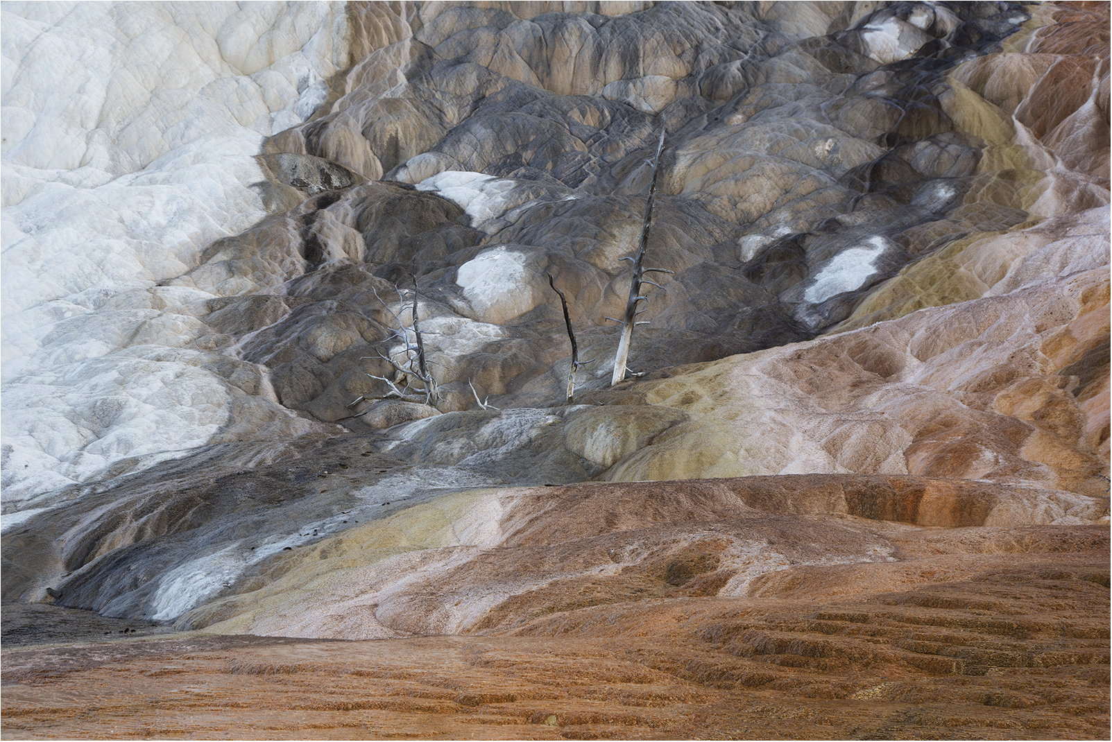 tavolozza di colori a Mammoth Hot Springs