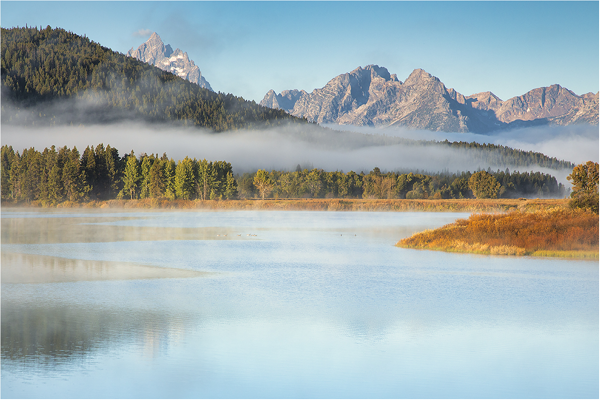 alba a Schwabacher Landing