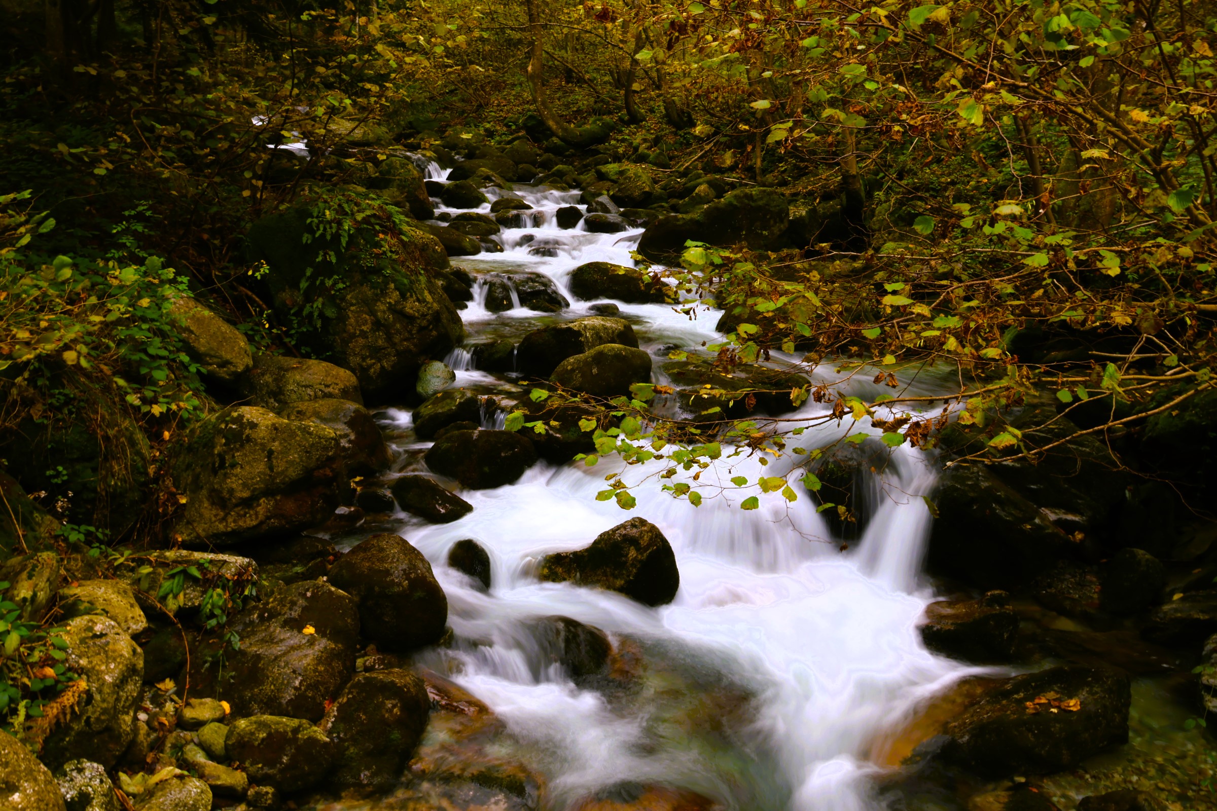 autunno in valle pesio