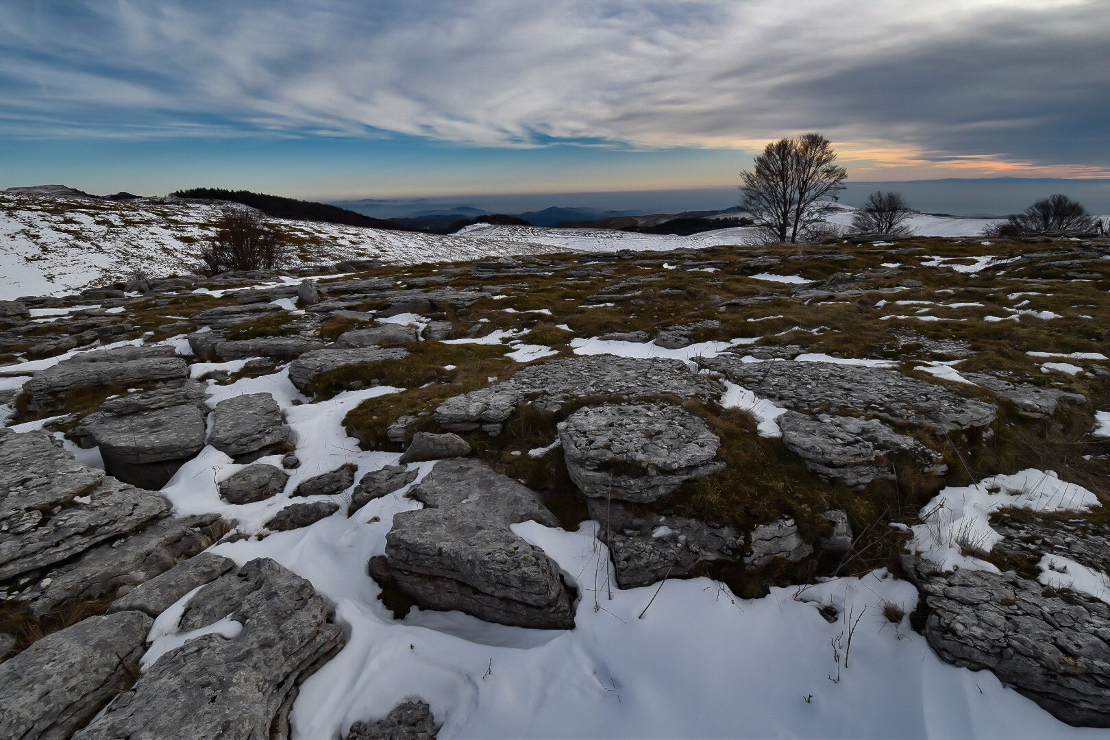 ... Of wind, snow and cold dressed