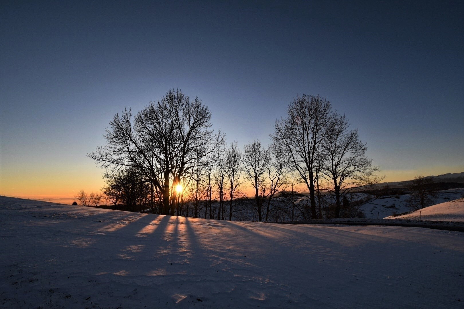 Behind the branches ... on the horizon