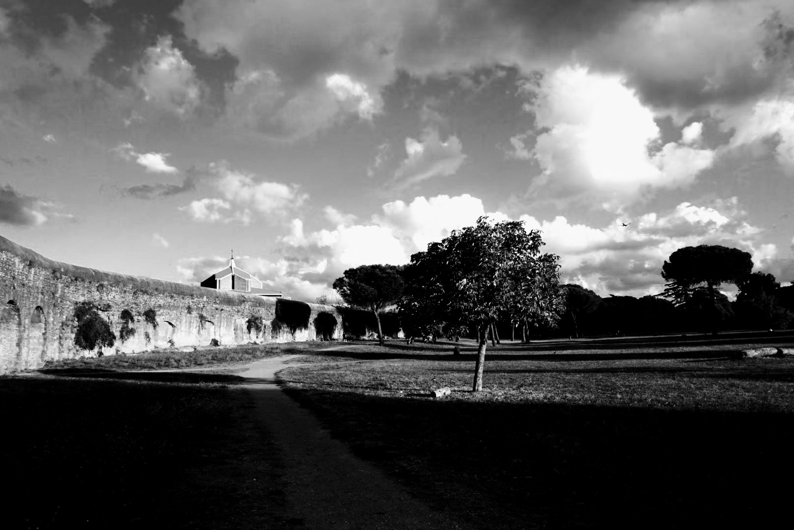 B/W Aqueduct Park