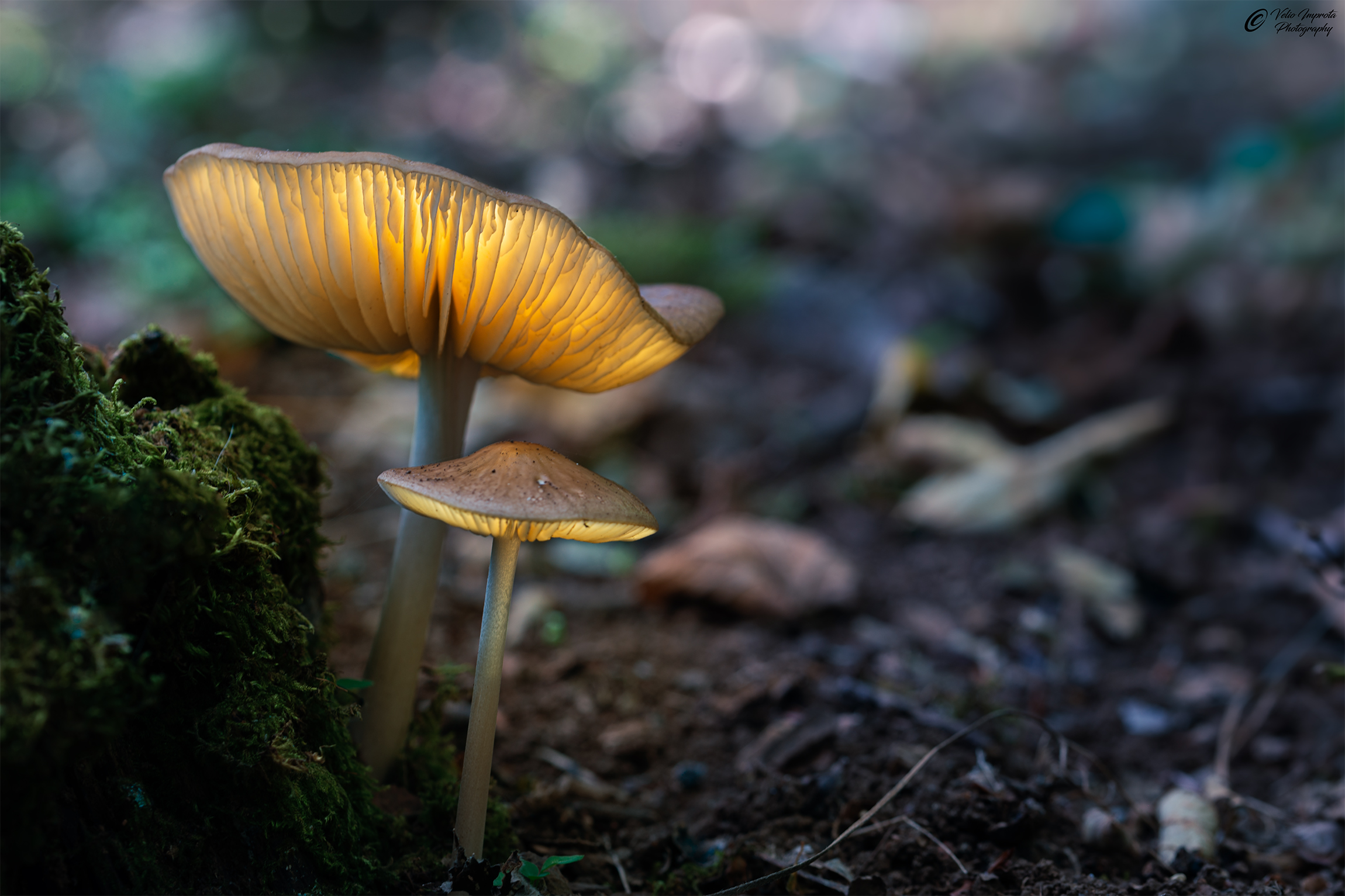 The beginning of autumn