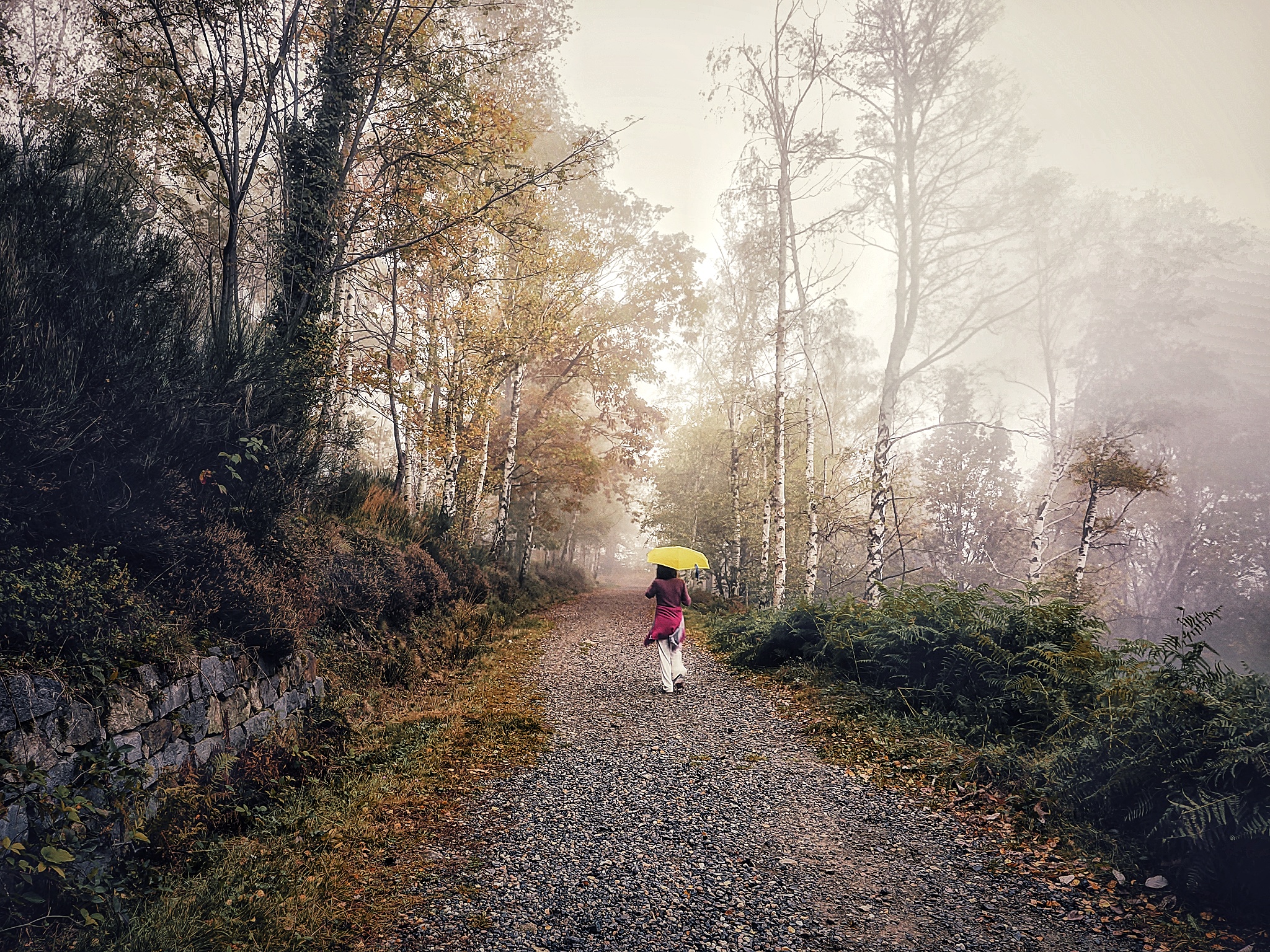 Passeggiata autunnale