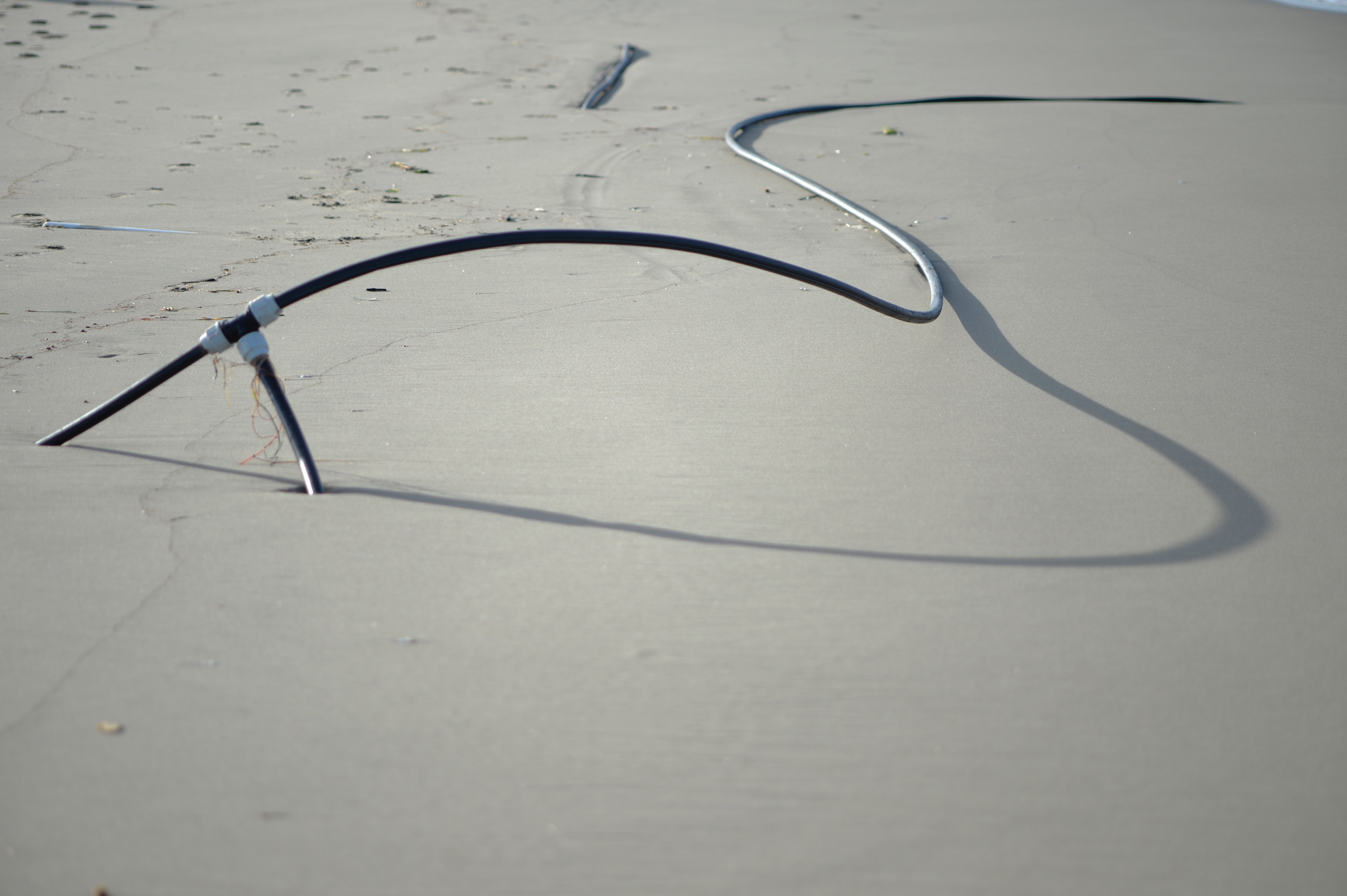 Forme sulla spiaggia