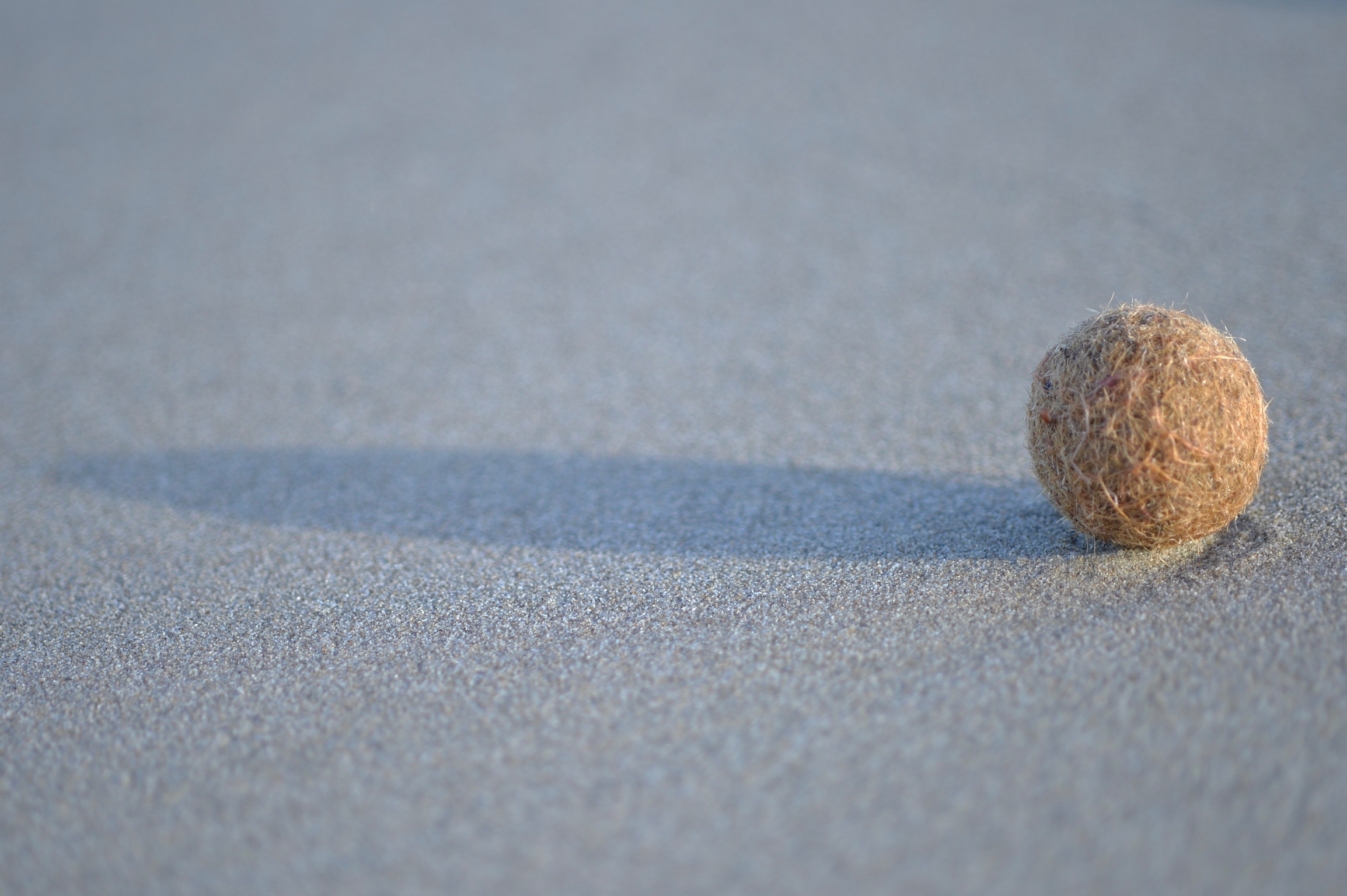 Forme sulla spiaggia 2