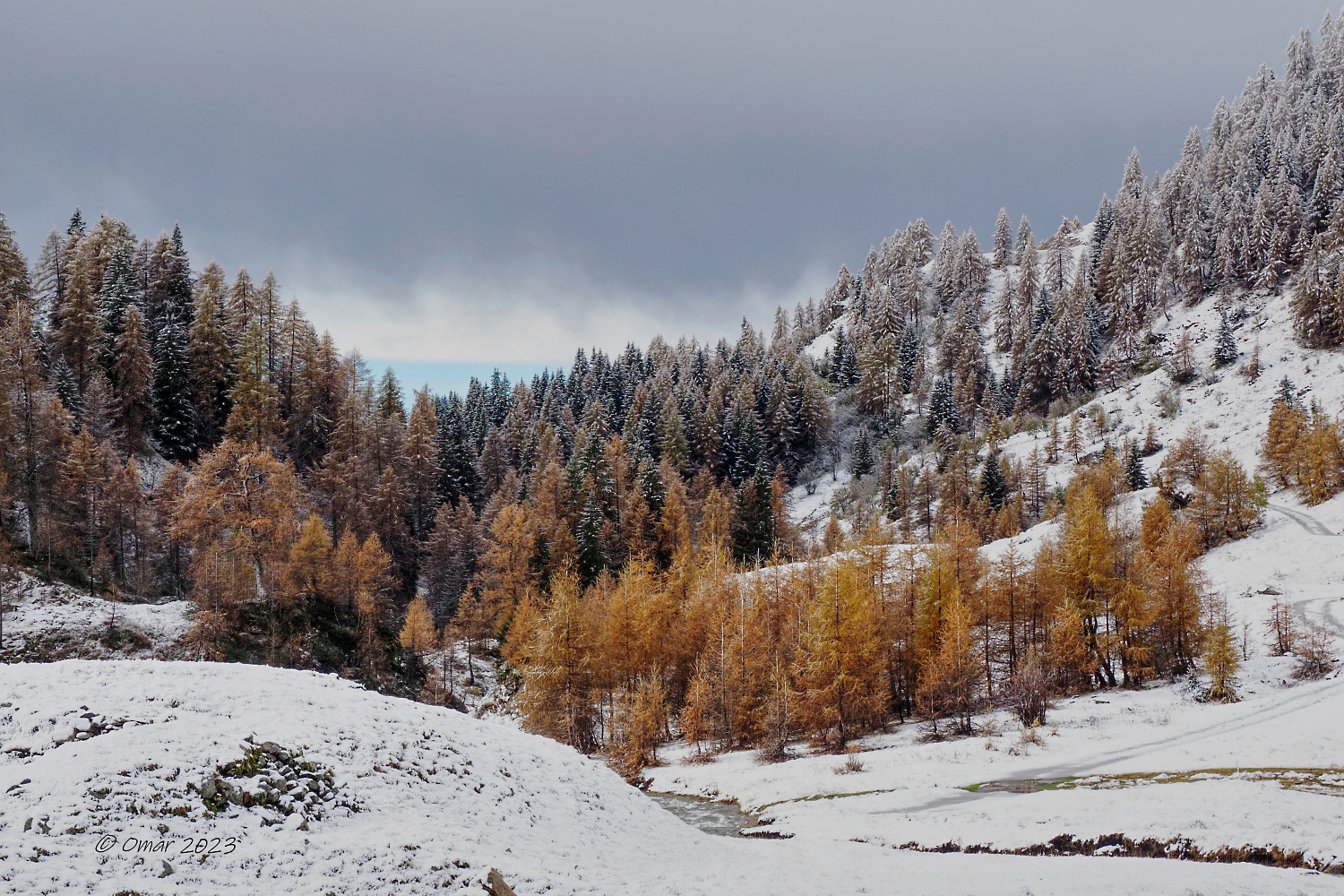 Tra Autunno e Inverno