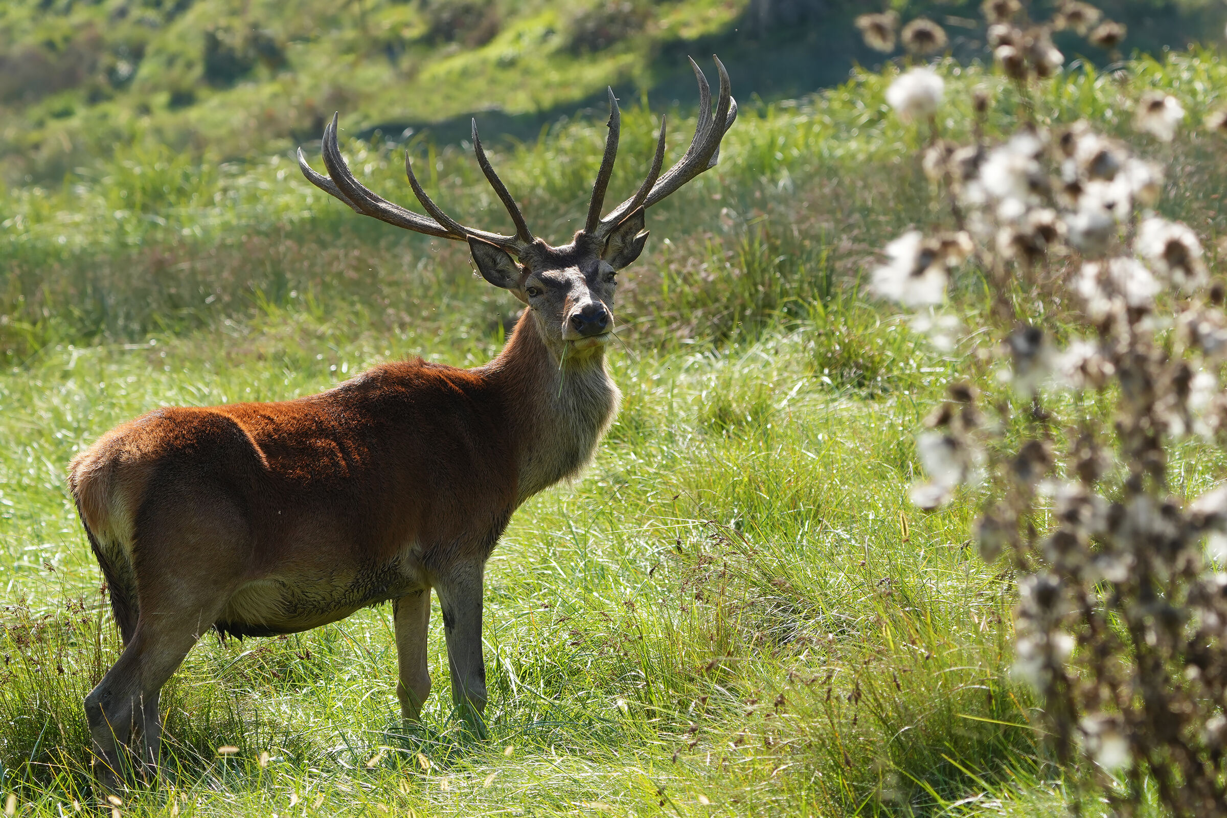 ambiente controllato