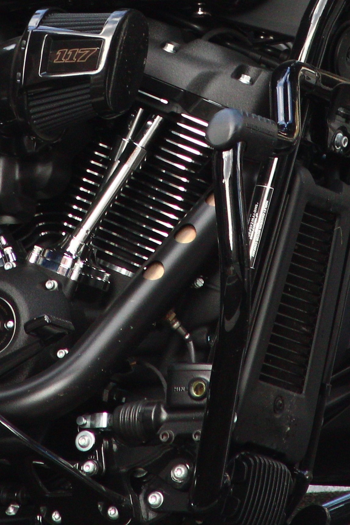 Powerful Thundering Beauty