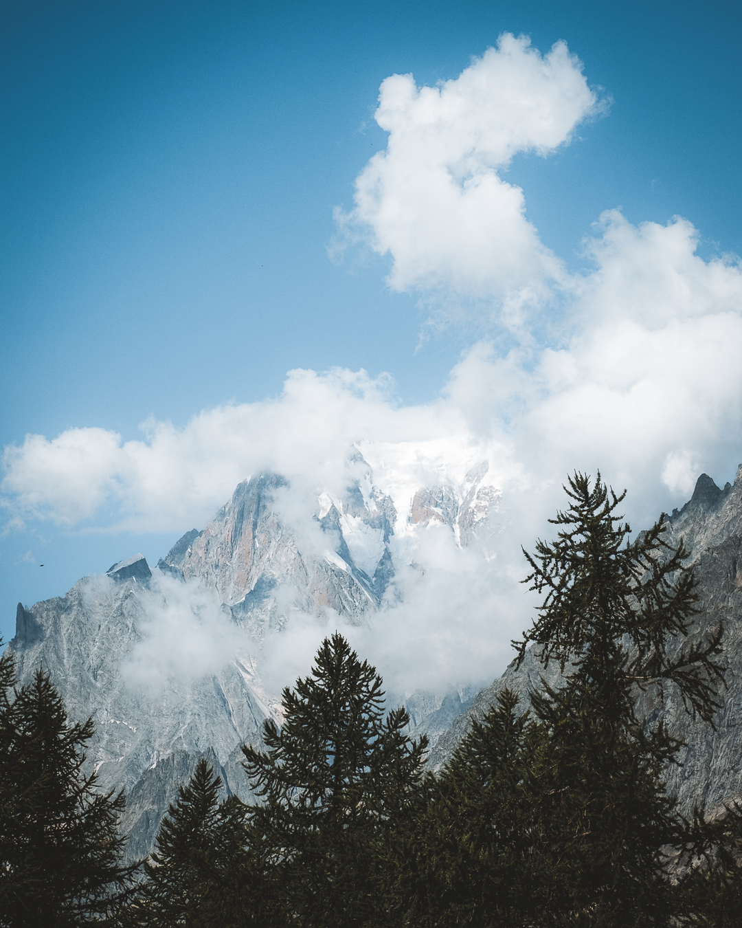 Belvedere Monte Bianco