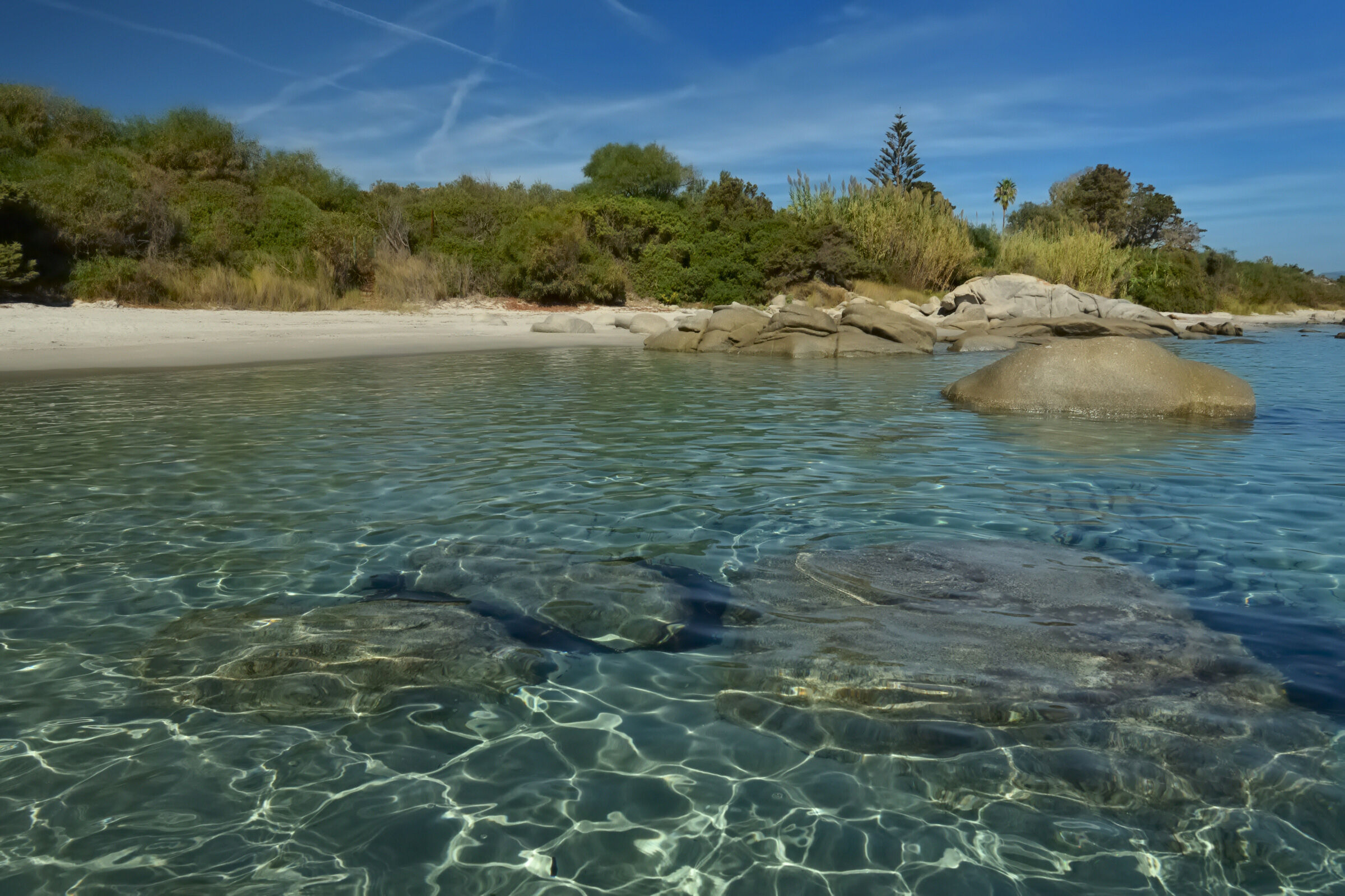 Il paradiso all' improvviso ...