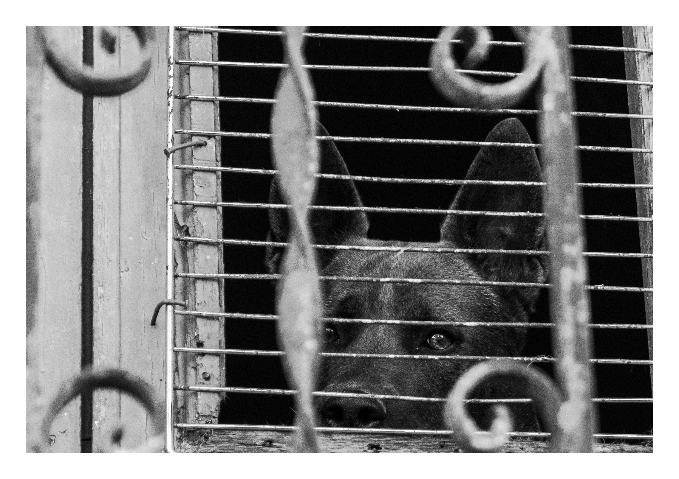 L'aspro territorio a volte inasprisce il cuore. Sicilia