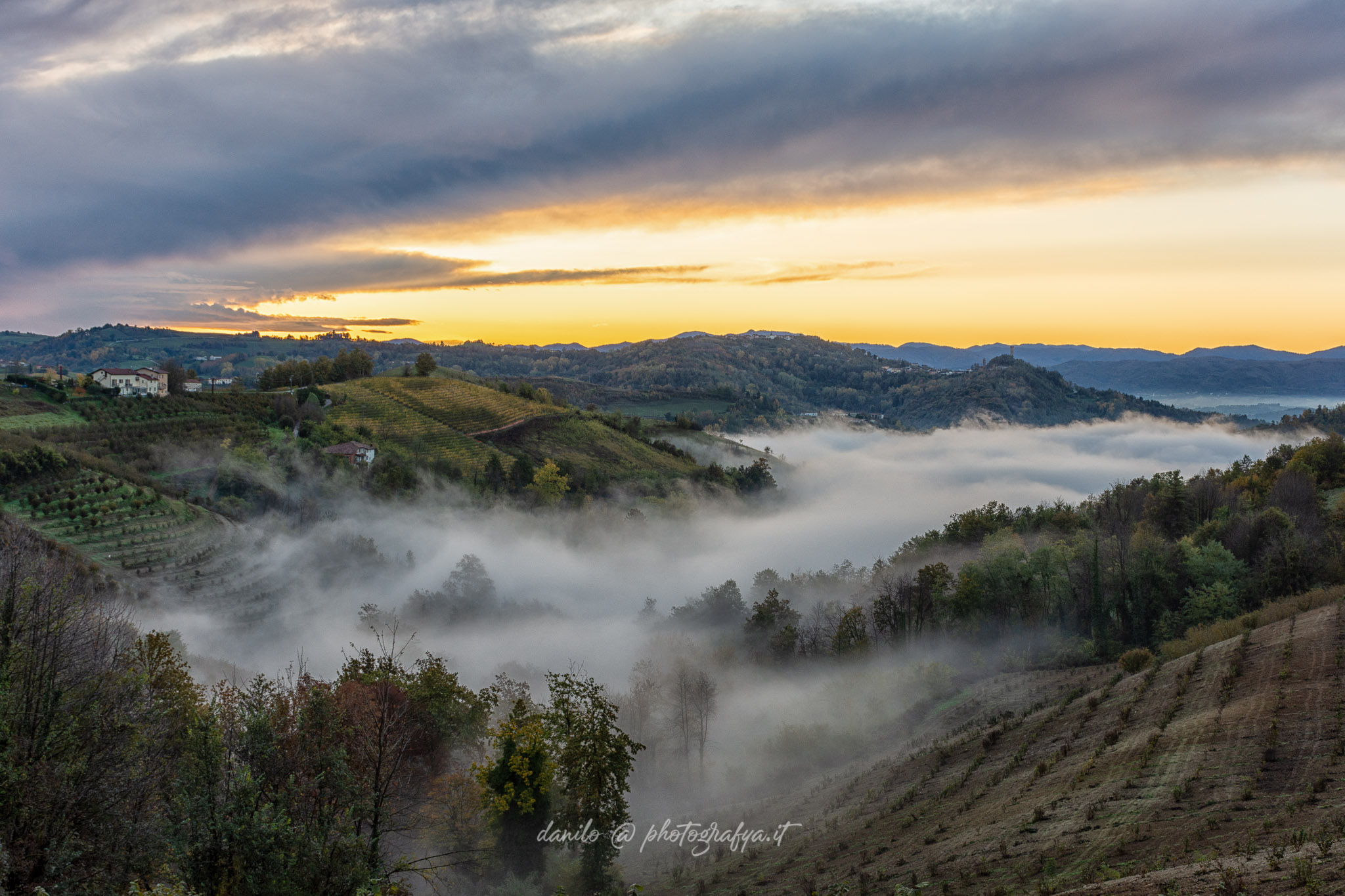 Langhe - Morning Fog