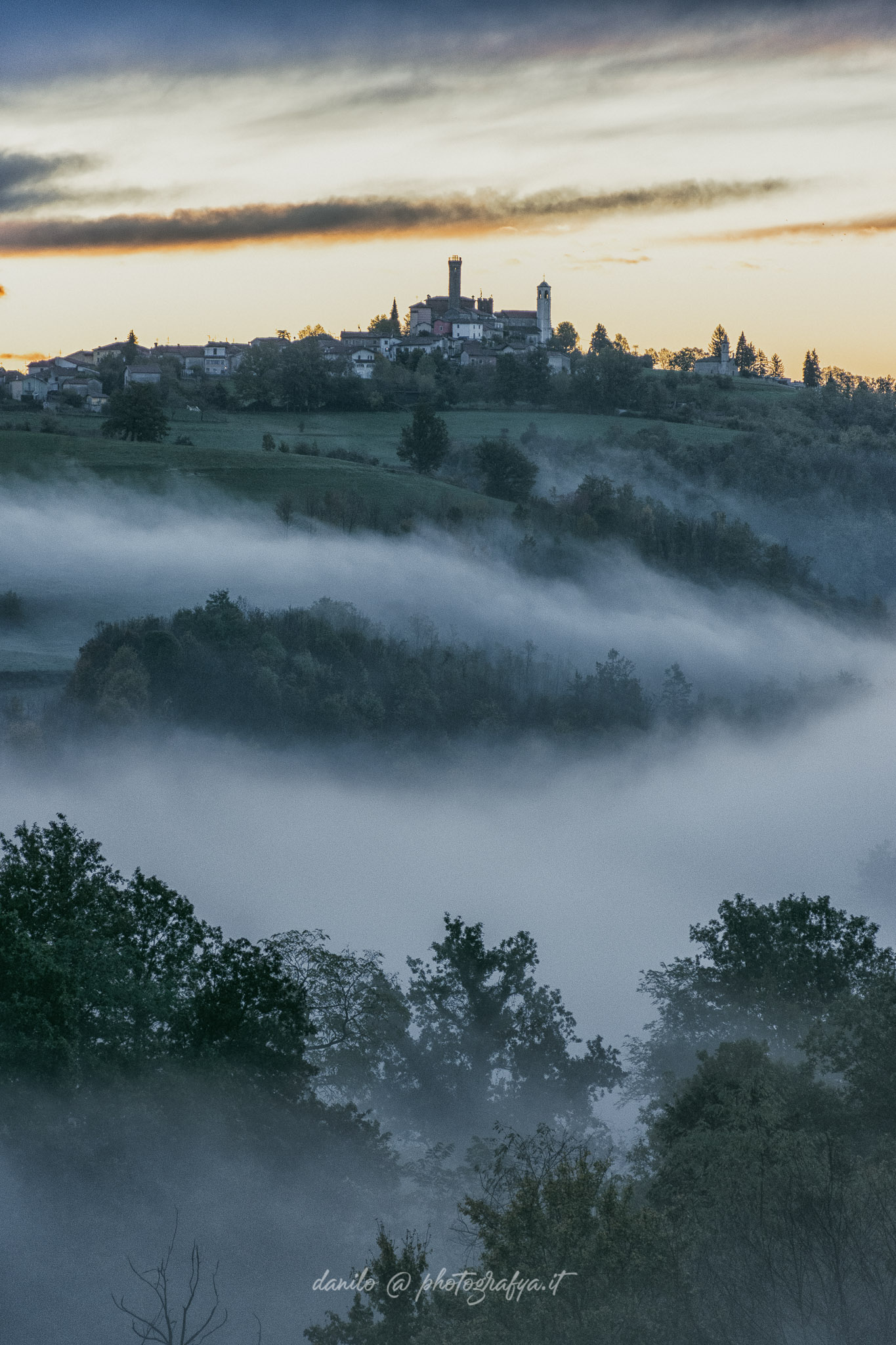 Langhe - Fog