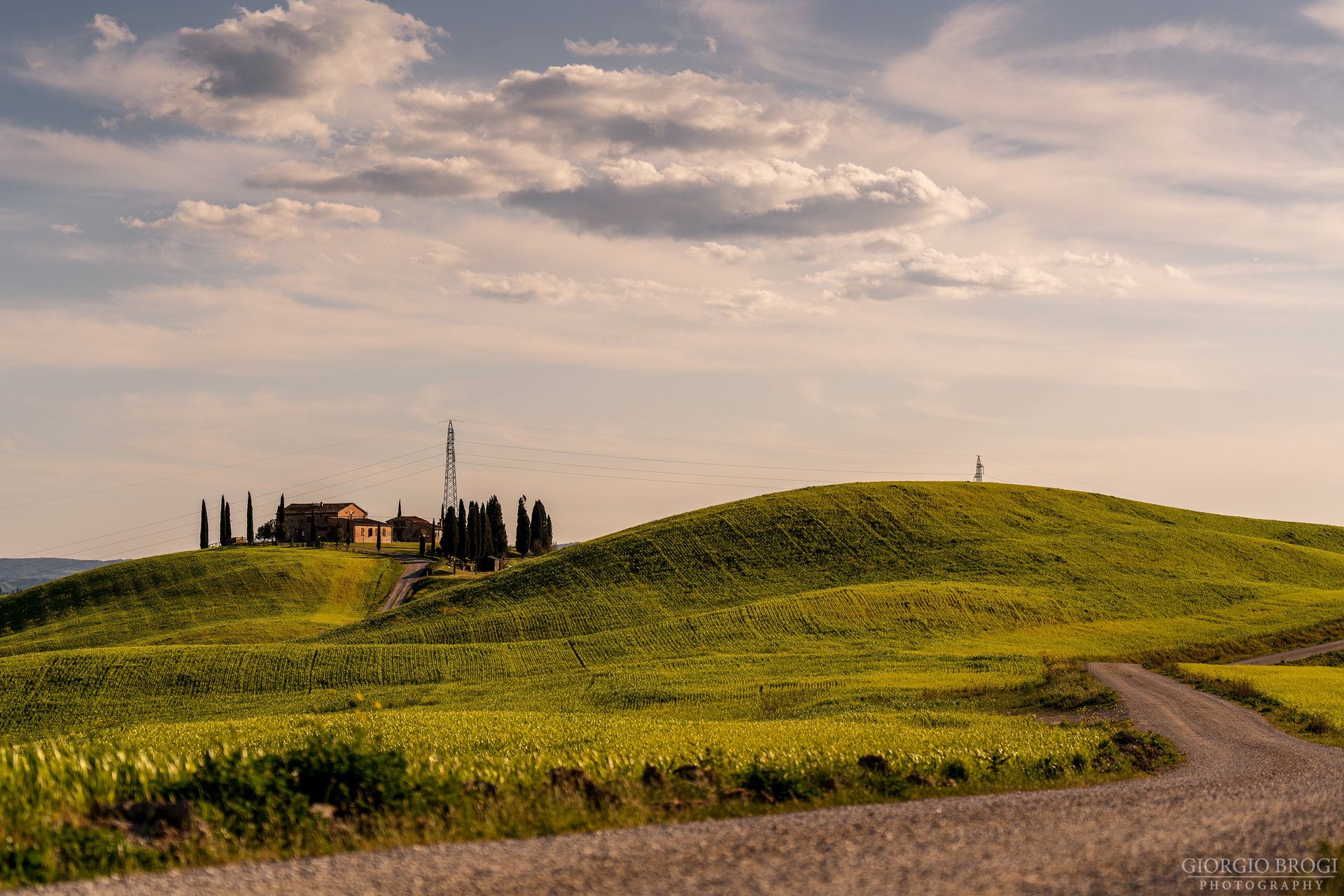 Crete Senesi primaverili