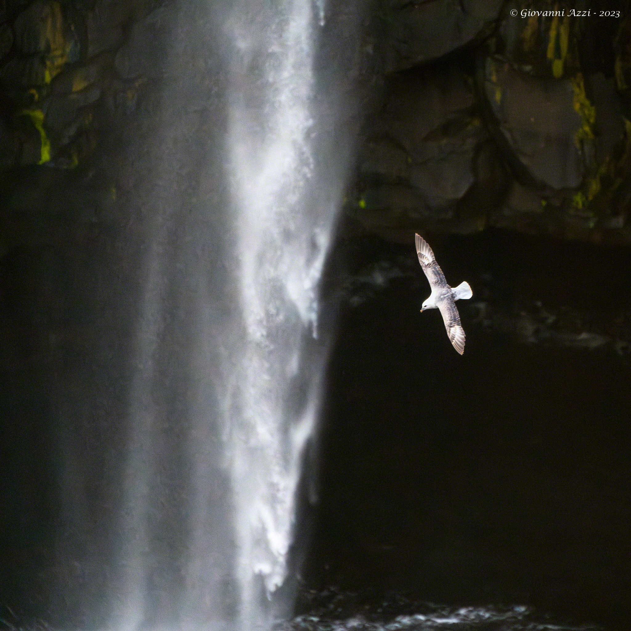 The fulmar and the waterfall