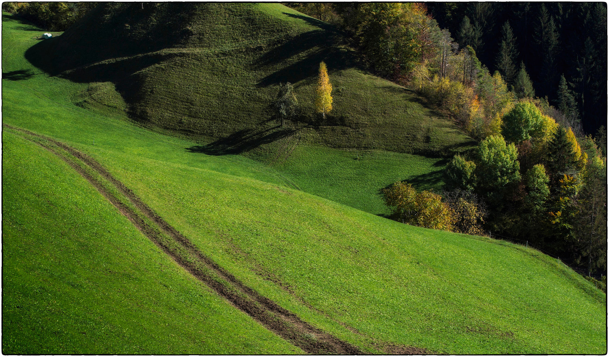 Autumn in Val di Tires