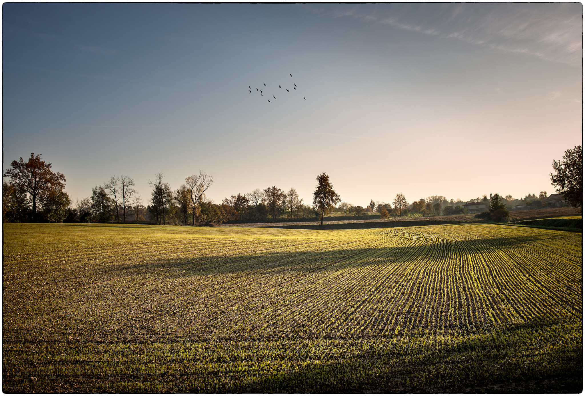 November in Valtenesi
