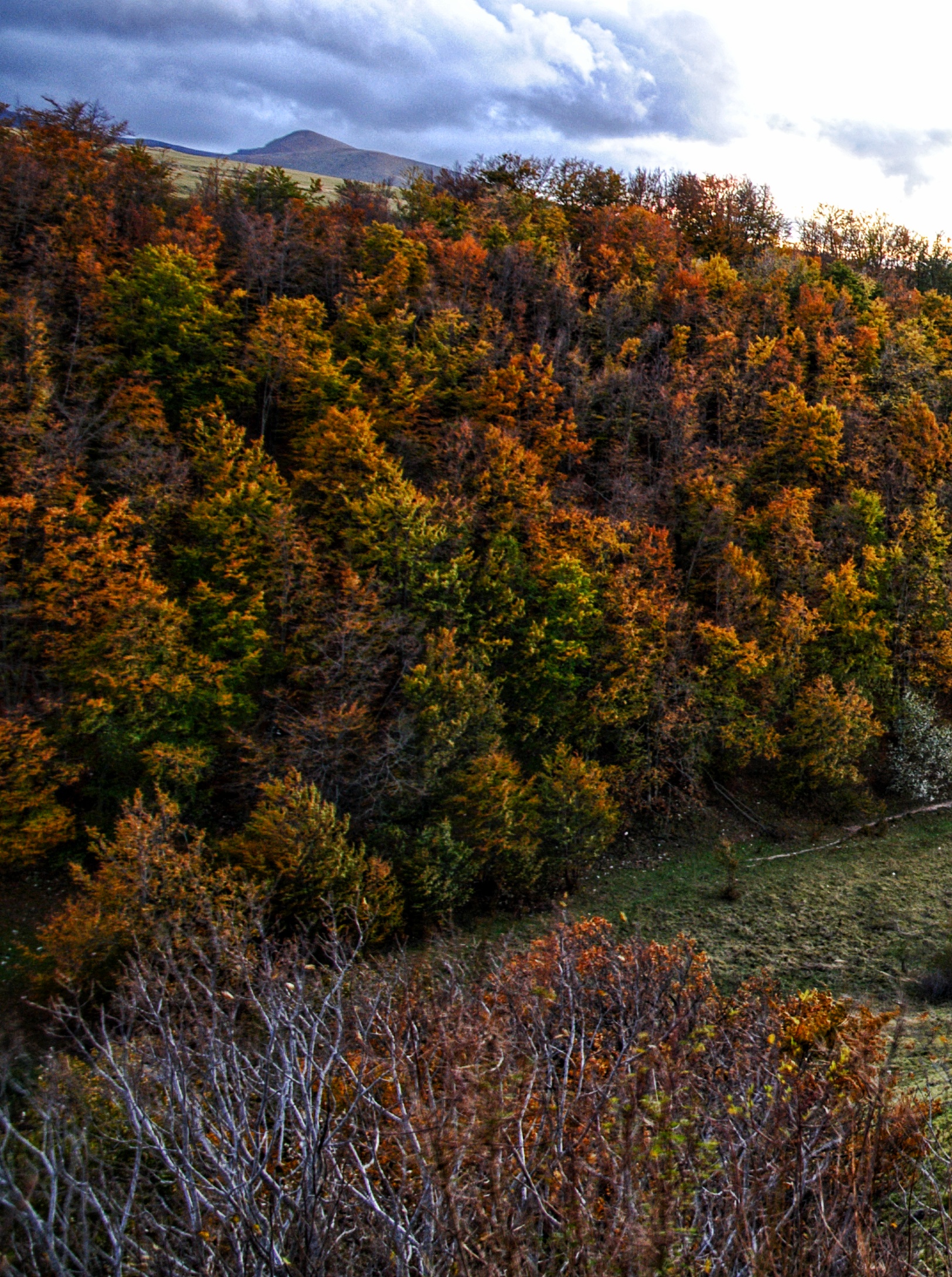 Arriva l'Autunno