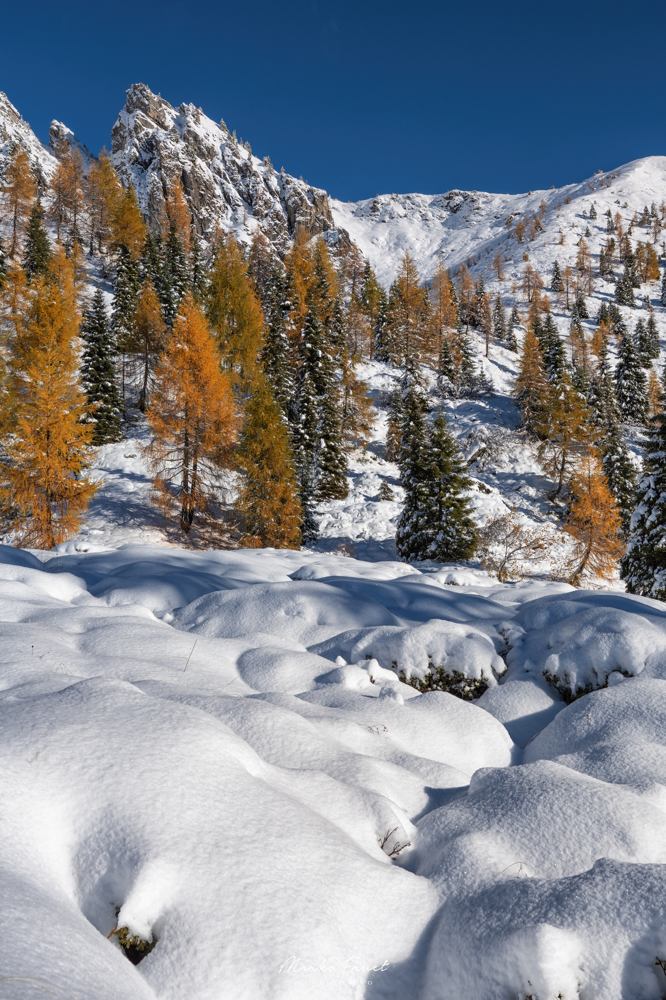 Verso cima Cavallara, Trentino, Lagorai.