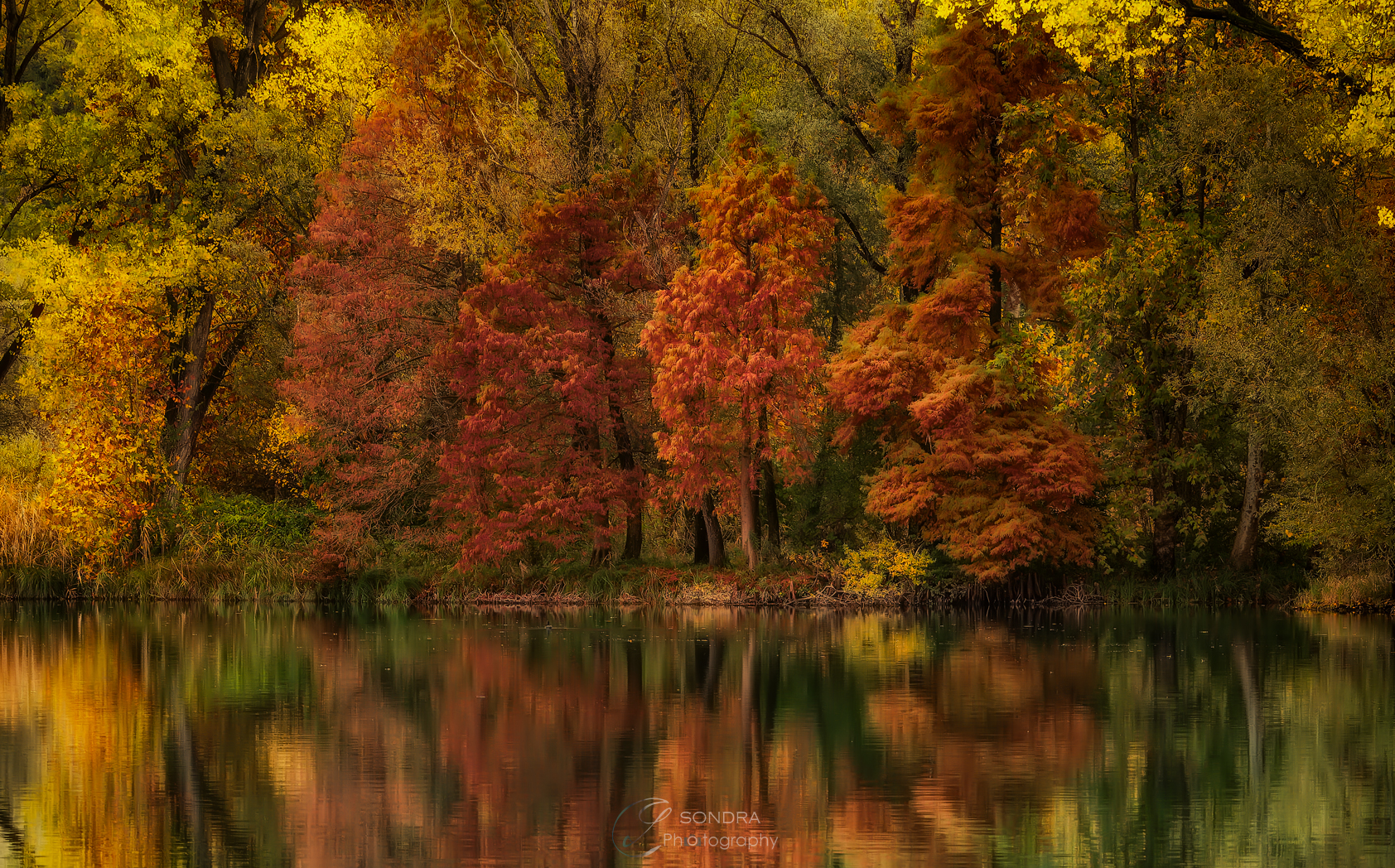 Autumn on the Adda Year 2021