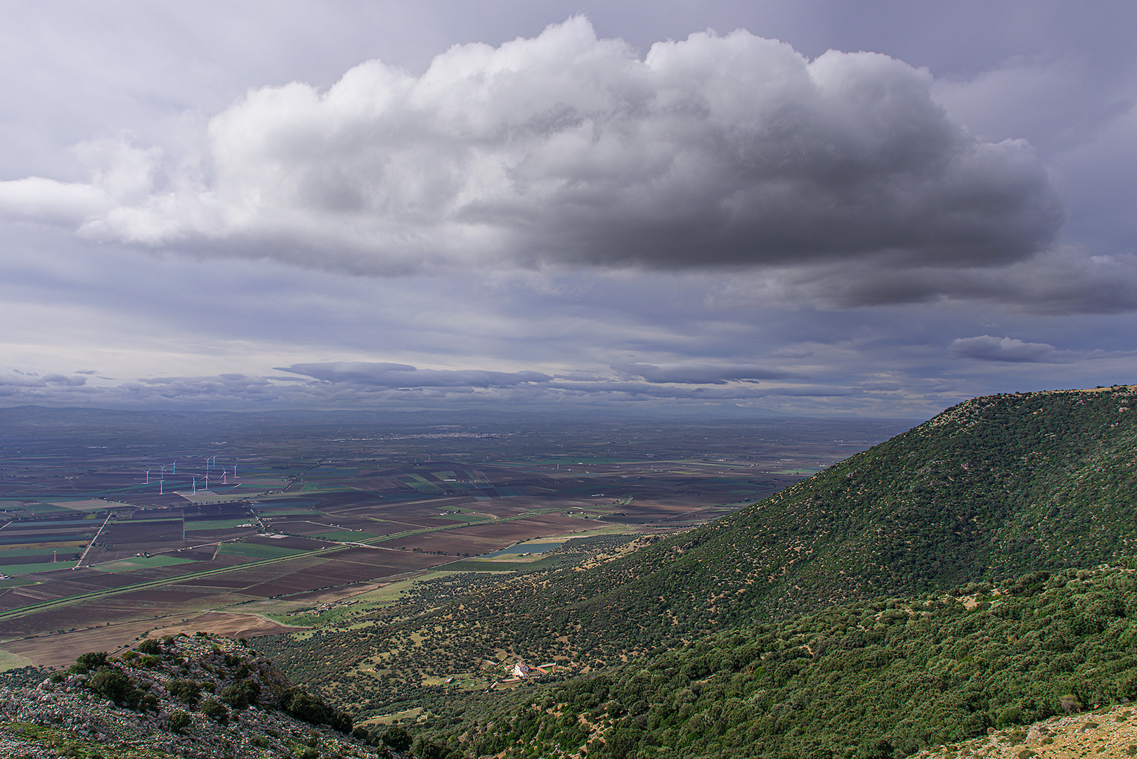 Nuvolone pedegarganico