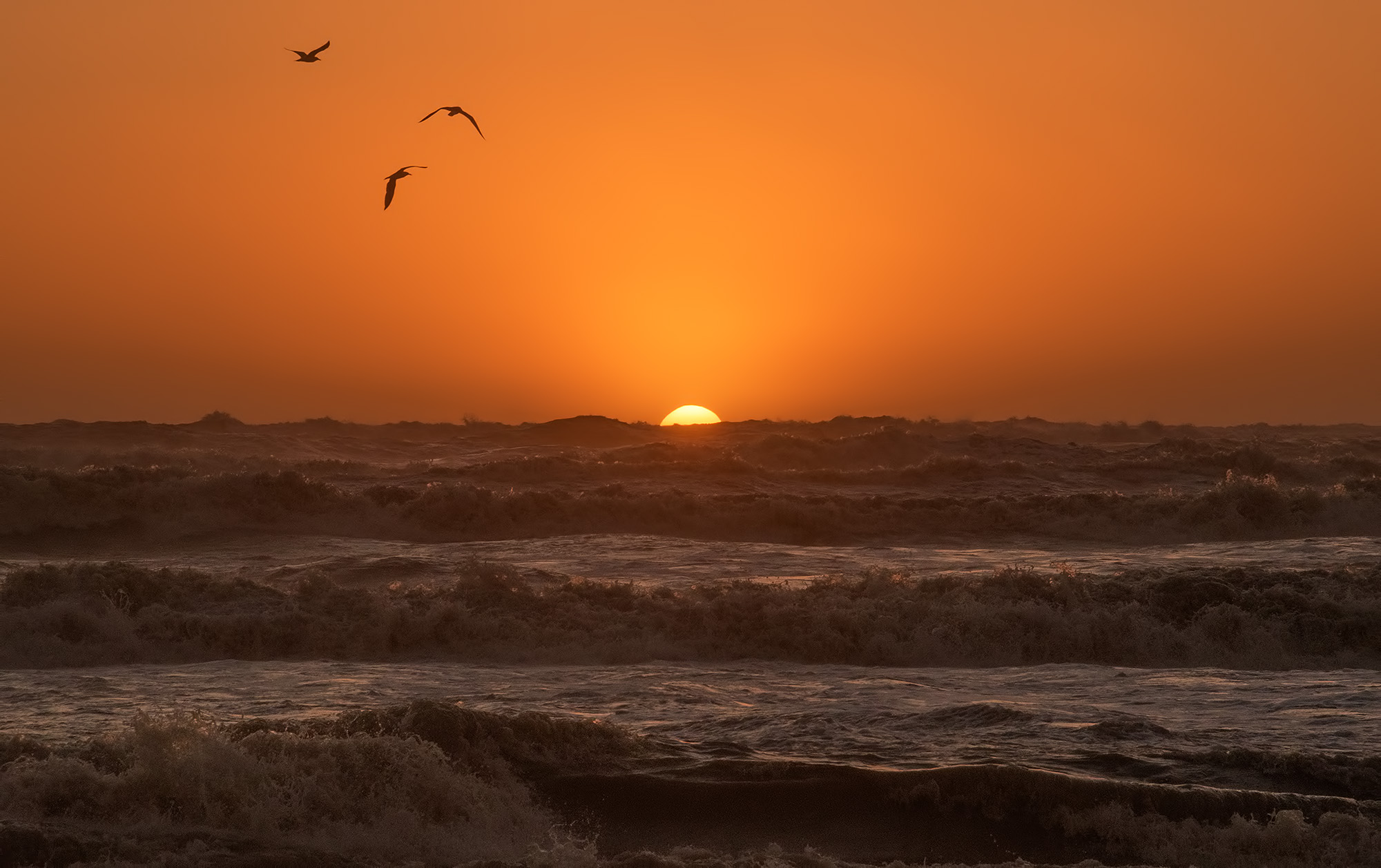 Sotto il libeccio urla e biancheggia il mare.