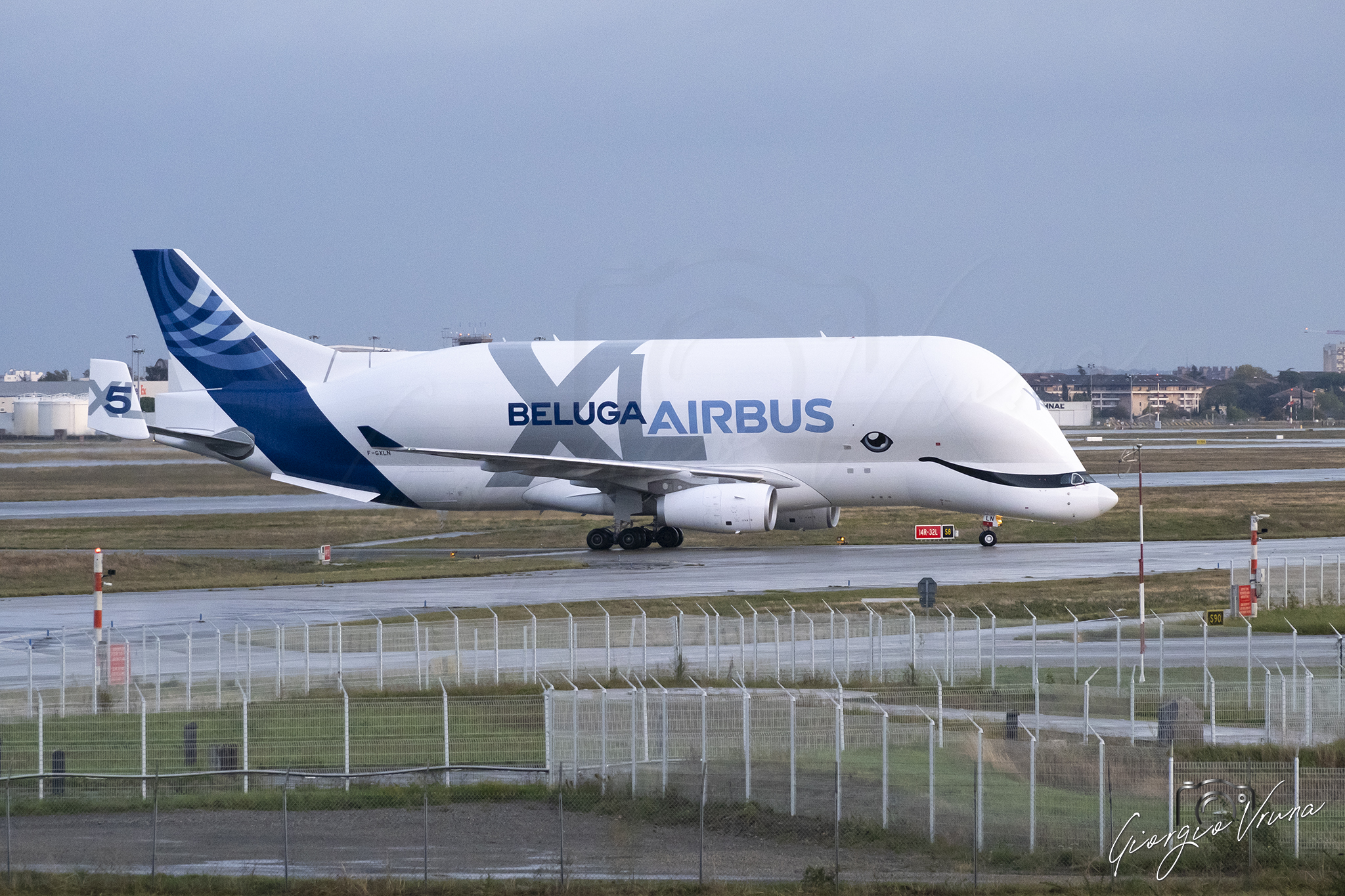 Beluga Airbus