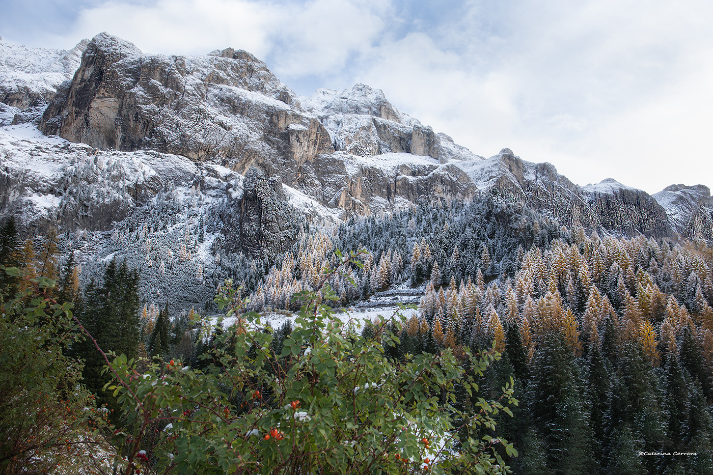 Un mix di colori e stagioni.