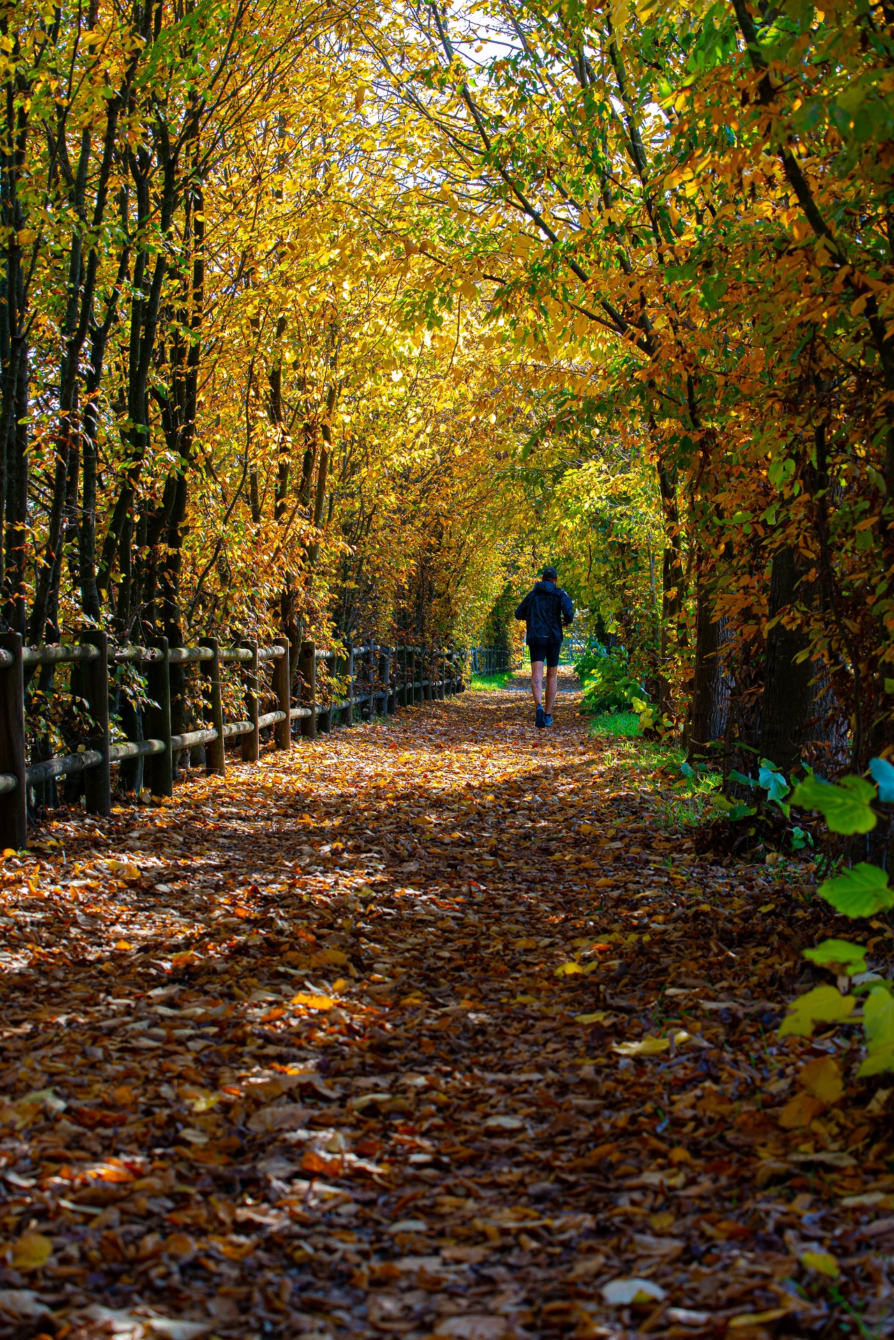 Everyone on their own path