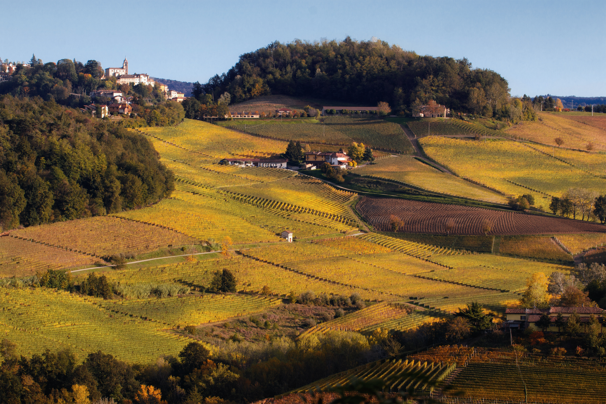 Foliage 2023: a macchia di leopardo #2