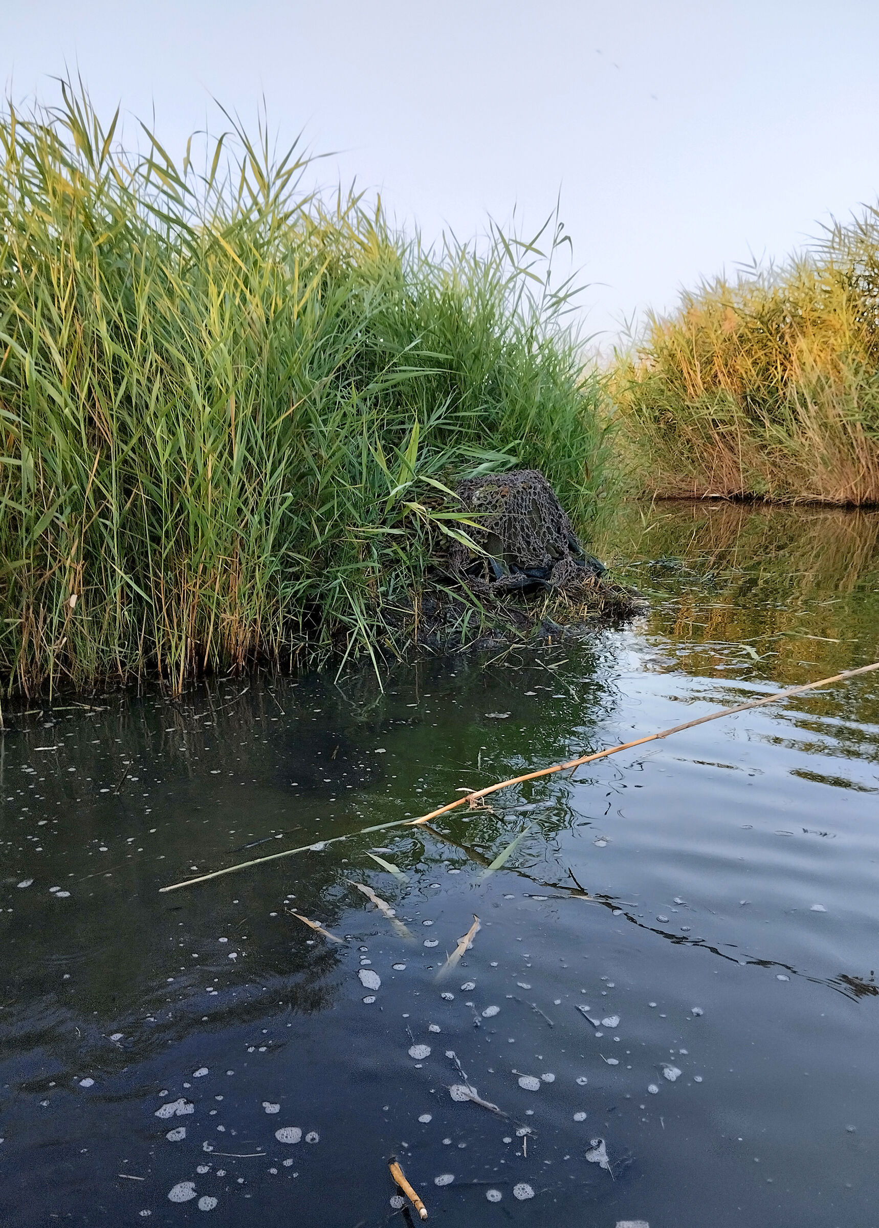 Appostamento per acquatici