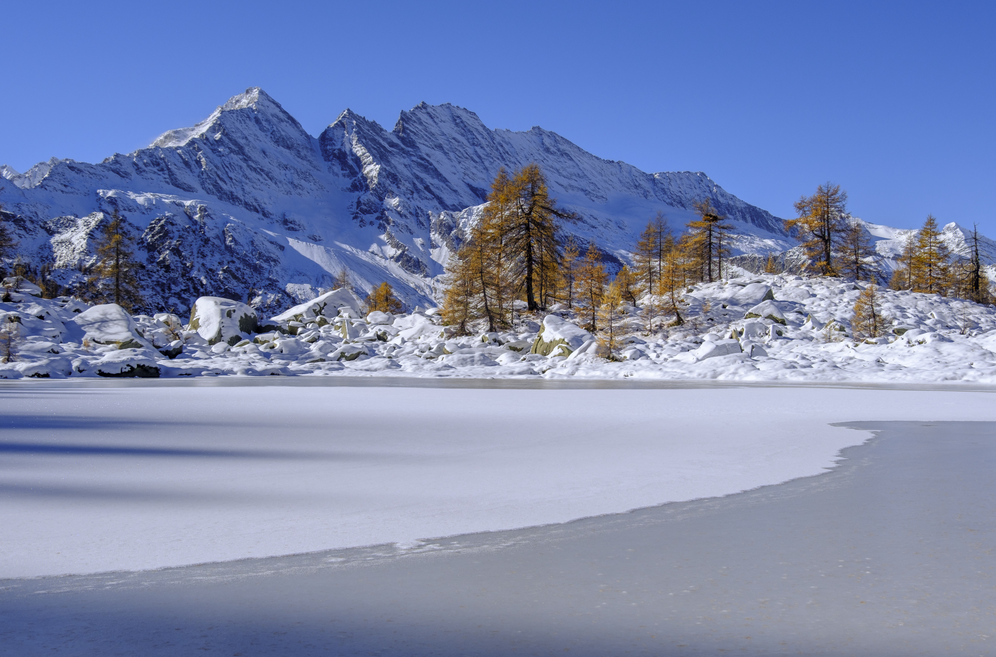 Simbiosi tra autunno ed inverno