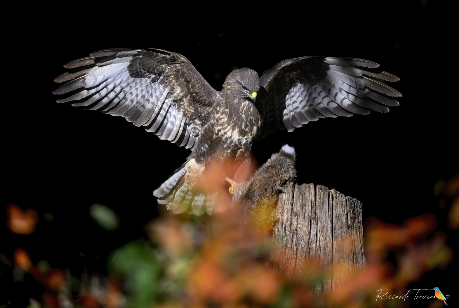 Caravaggio's style, poiana