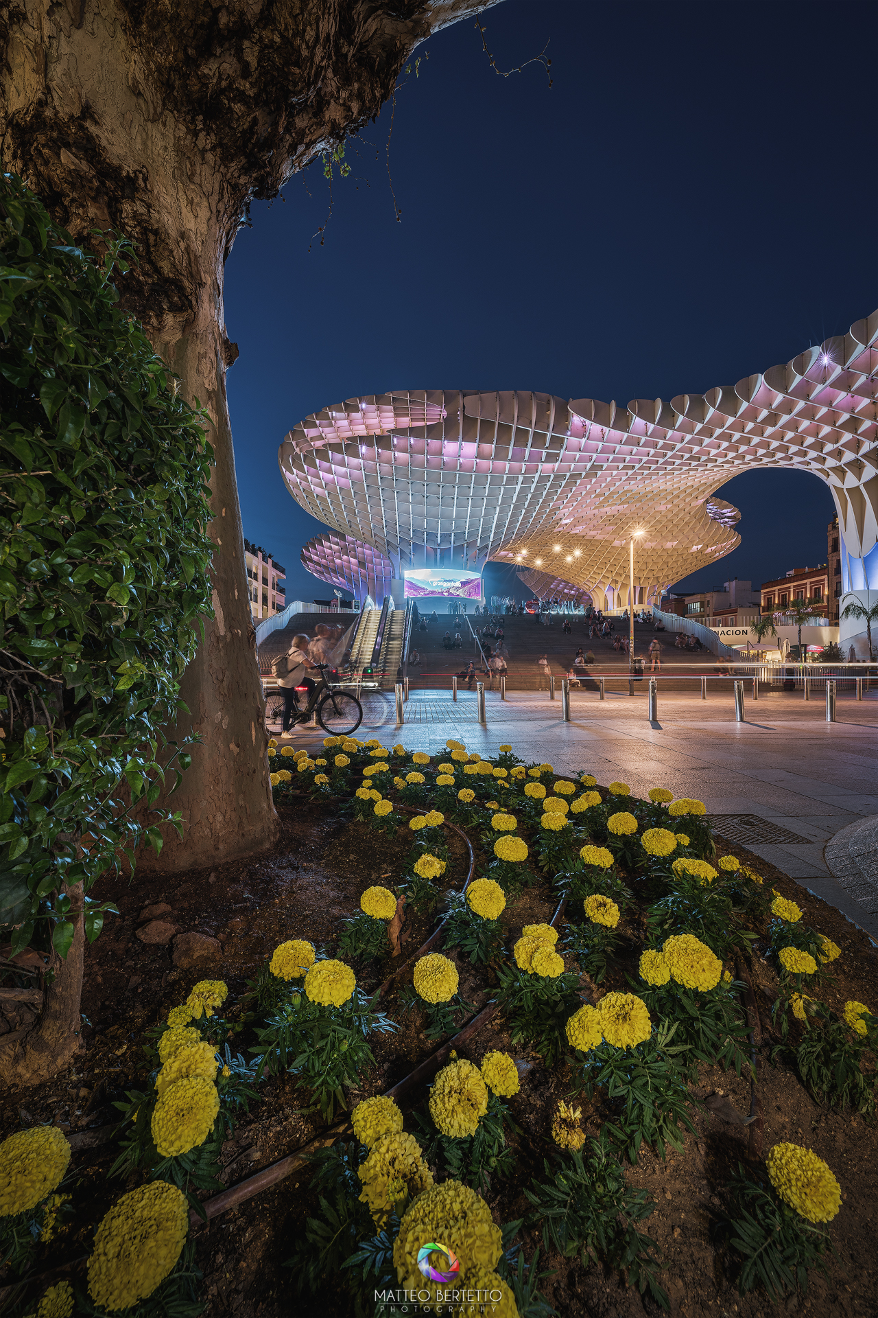 Metropol Parasol - Seville