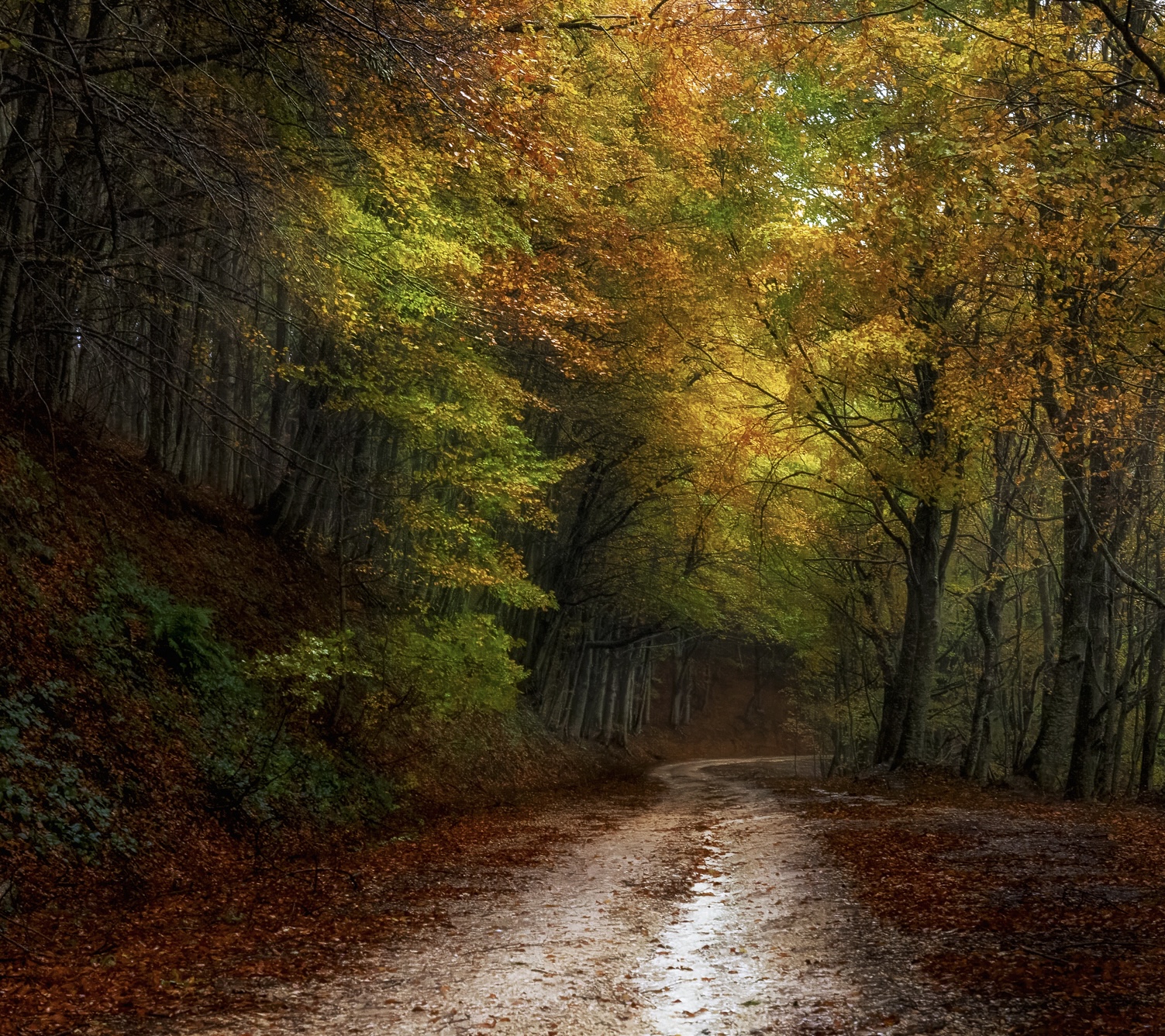Near Ceppo. Laga Mountains