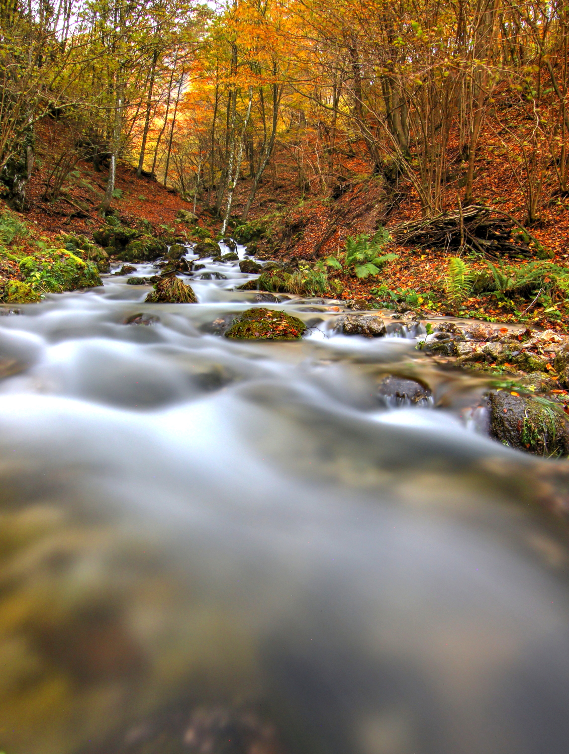 Autumn in Val Leogra