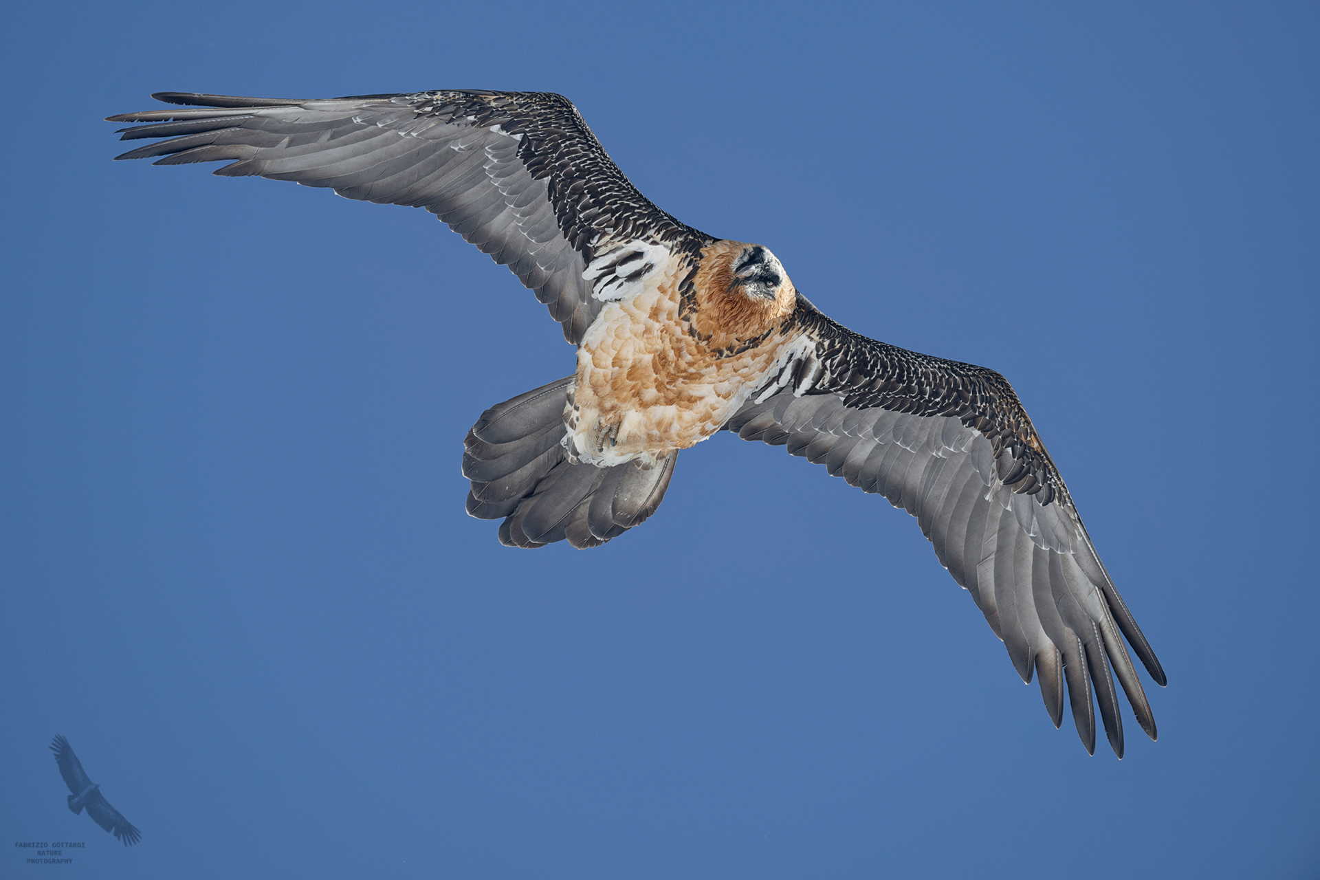 Look into the camera