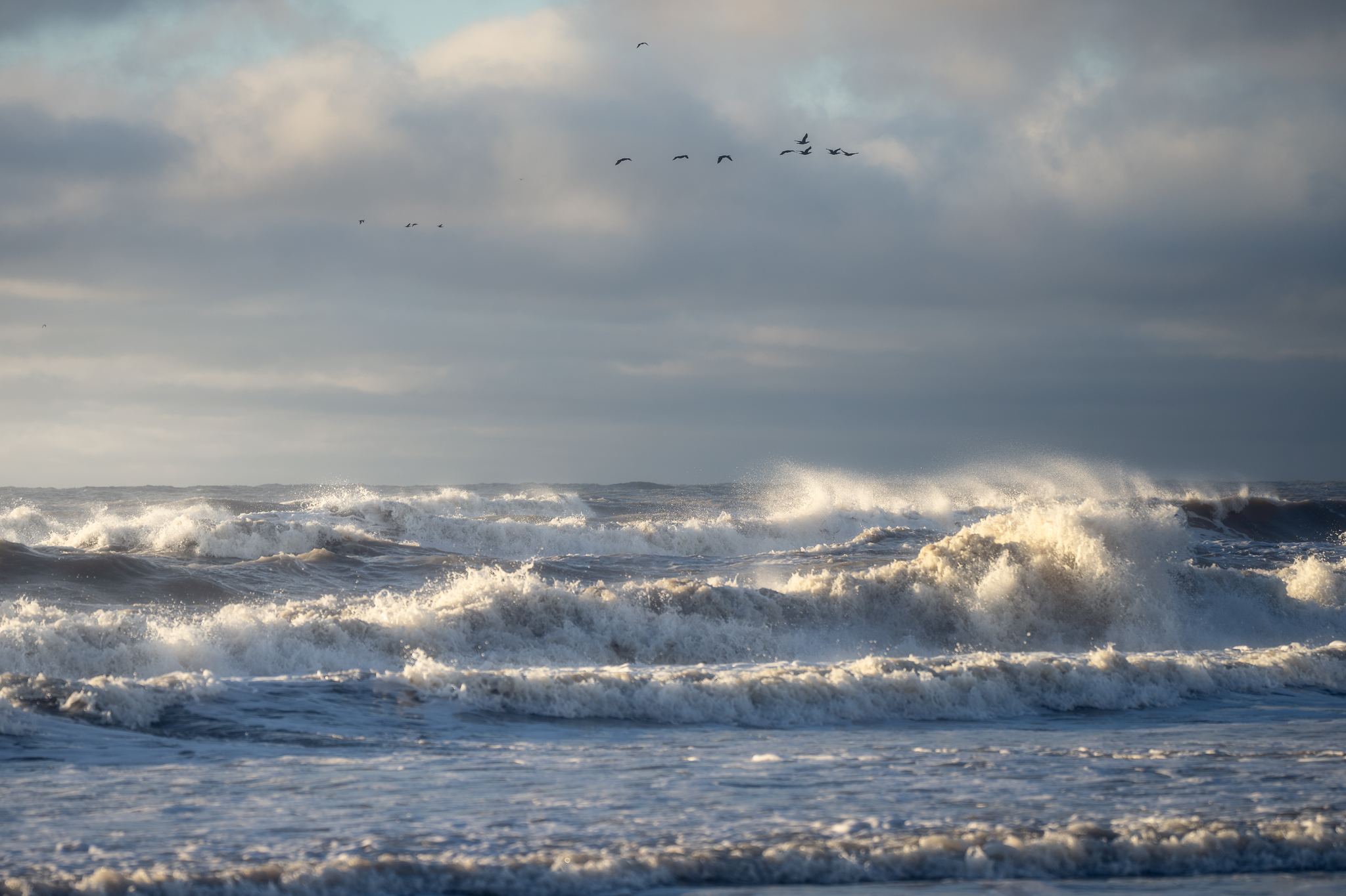 Inizi di giornata che fanno bene all'animo..