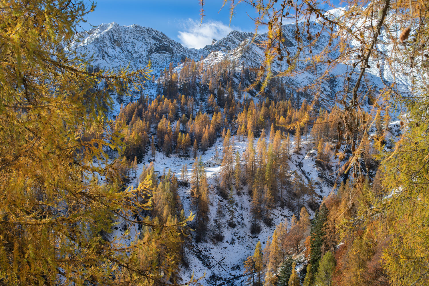 Rimasco-Alpe cascivere di sotto