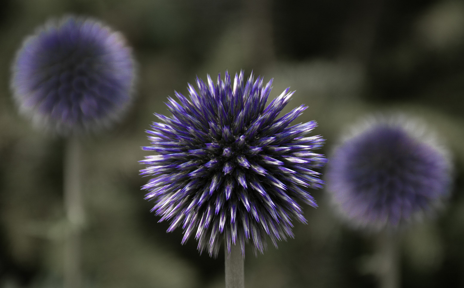 Like an explosion...