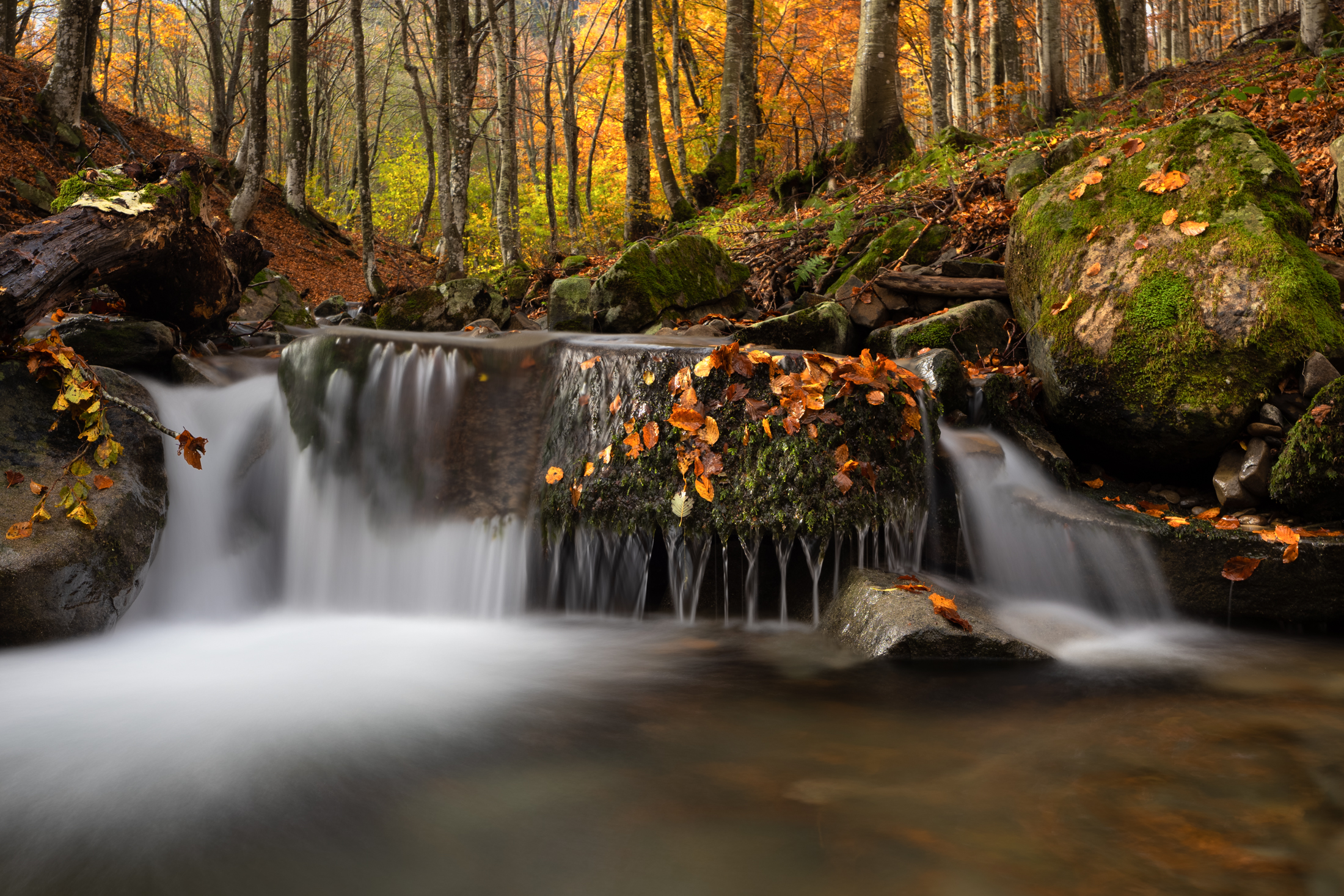 Il torrente si colora