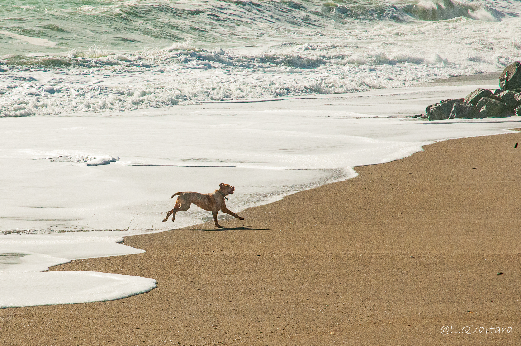 This is where you can have fun