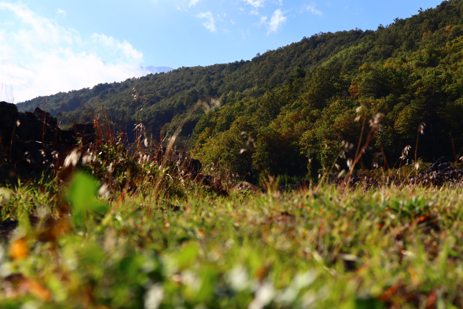 Untitled Photo