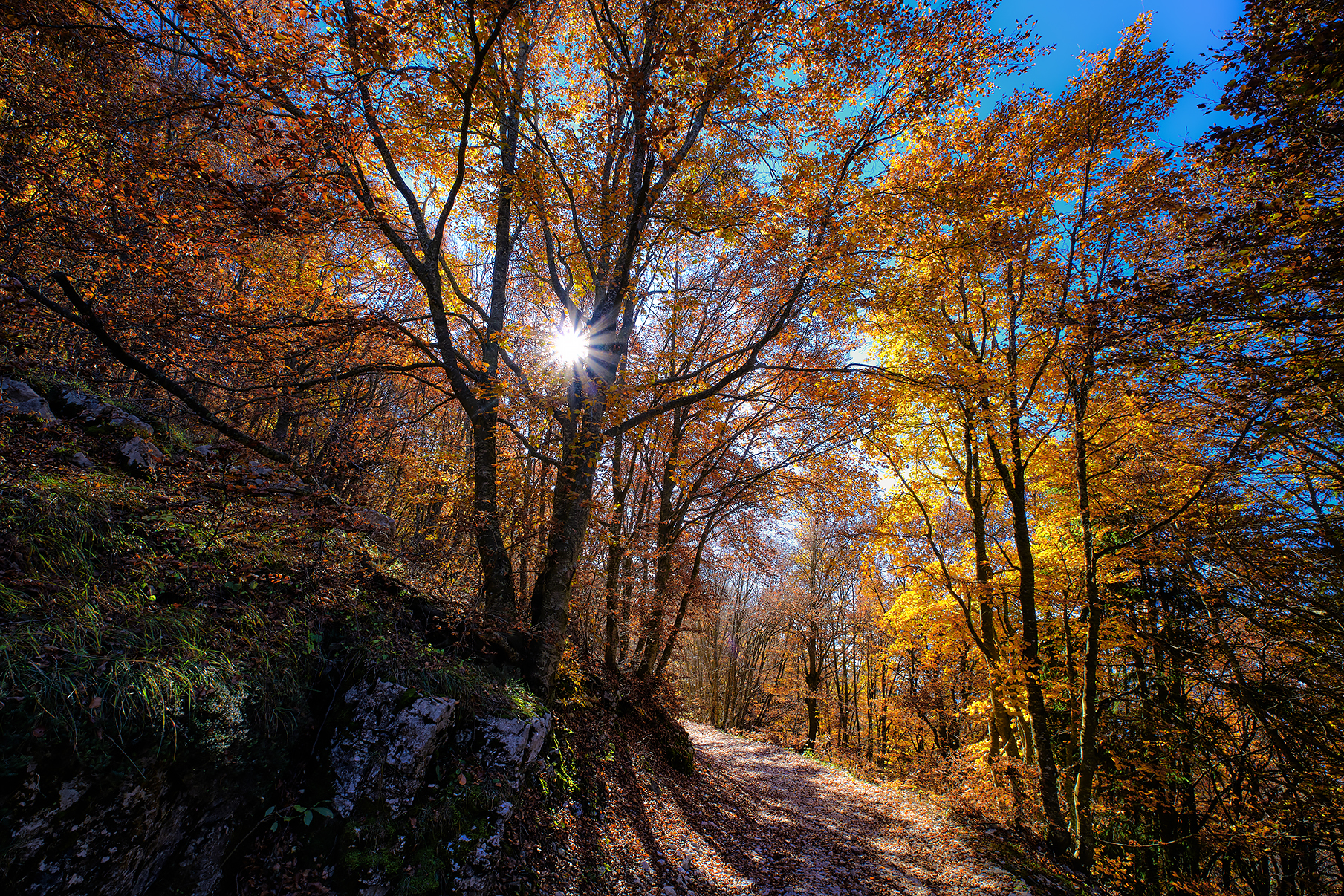 L'autunno accende i colori e scalda il cuore.